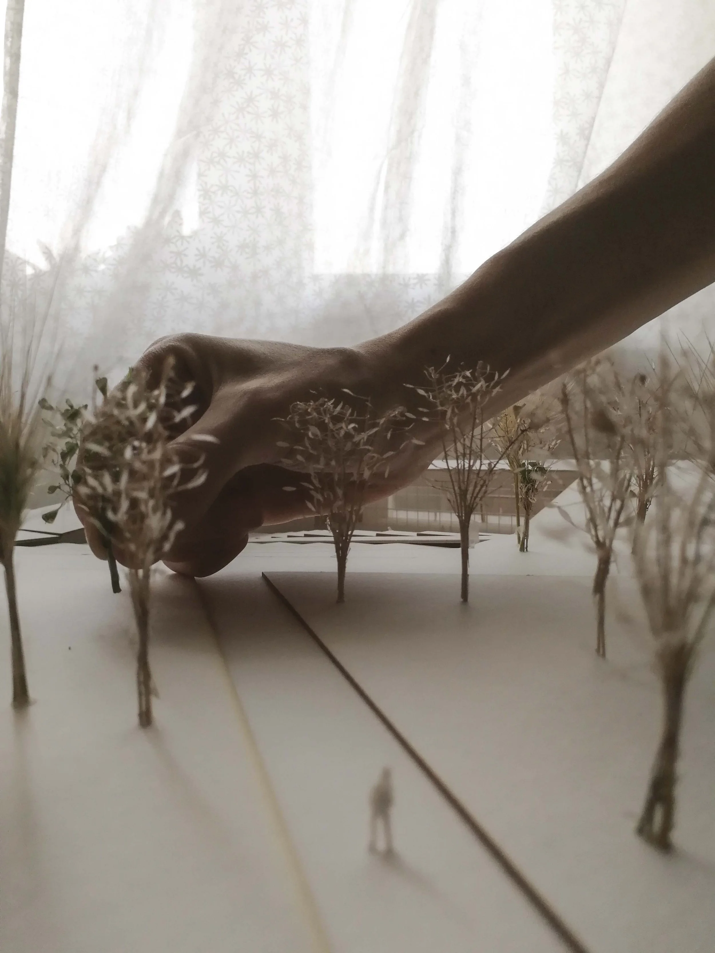 A hand reaching across a surface with small dried plants and a row of miniature trees, with a sheer curtain with star pattern in the background.