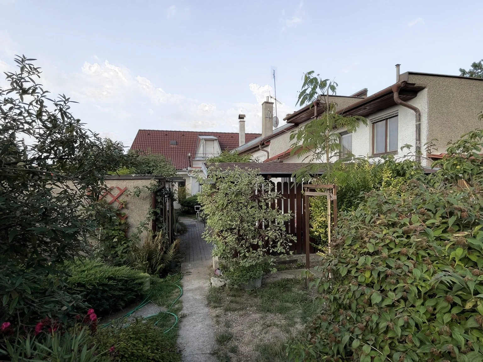 A narrow garden pathway leading to a backyard with various plants and trees, surrounded by residential houses with red and gray roofing. The sky is partly cloudy.