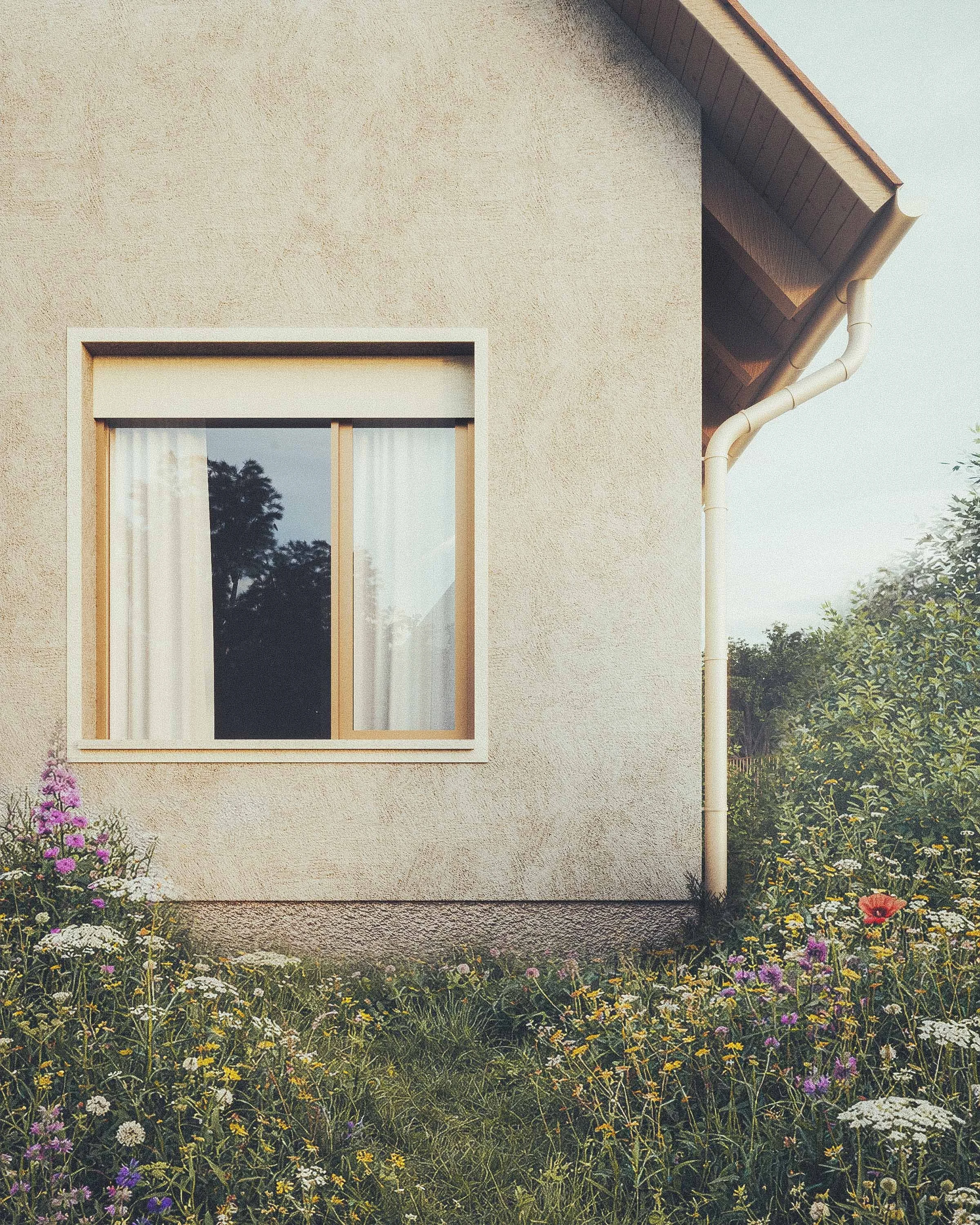 The image shows a beige house wall with a window that has a white frame and is partially covered by white curtains. There are colorful wildflowers and green foliage in the foreground, and the sky is clear.