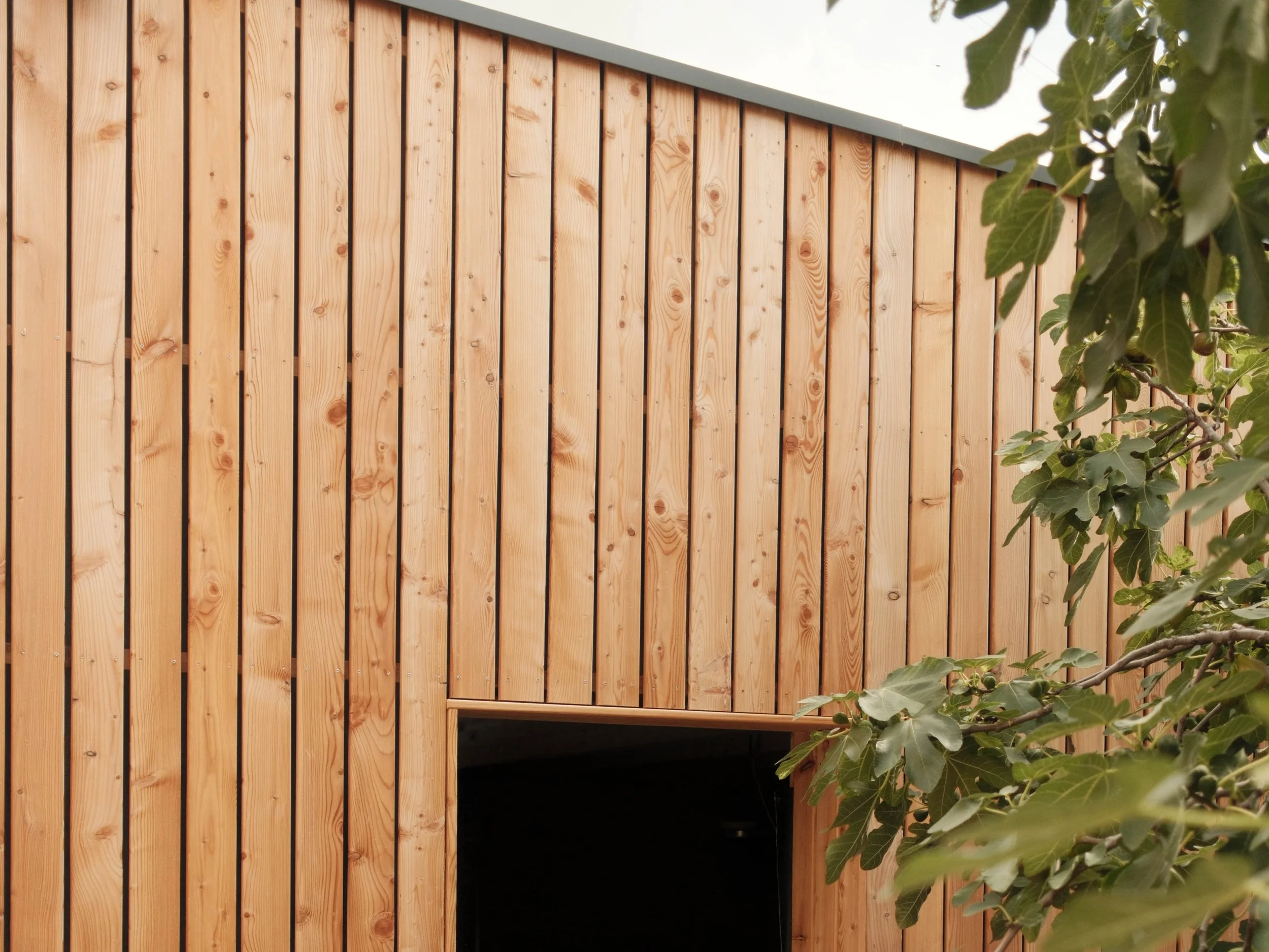 A wooden fence with vertical planks and a section with a supporting beam, partially obscured by green leaves and branches.