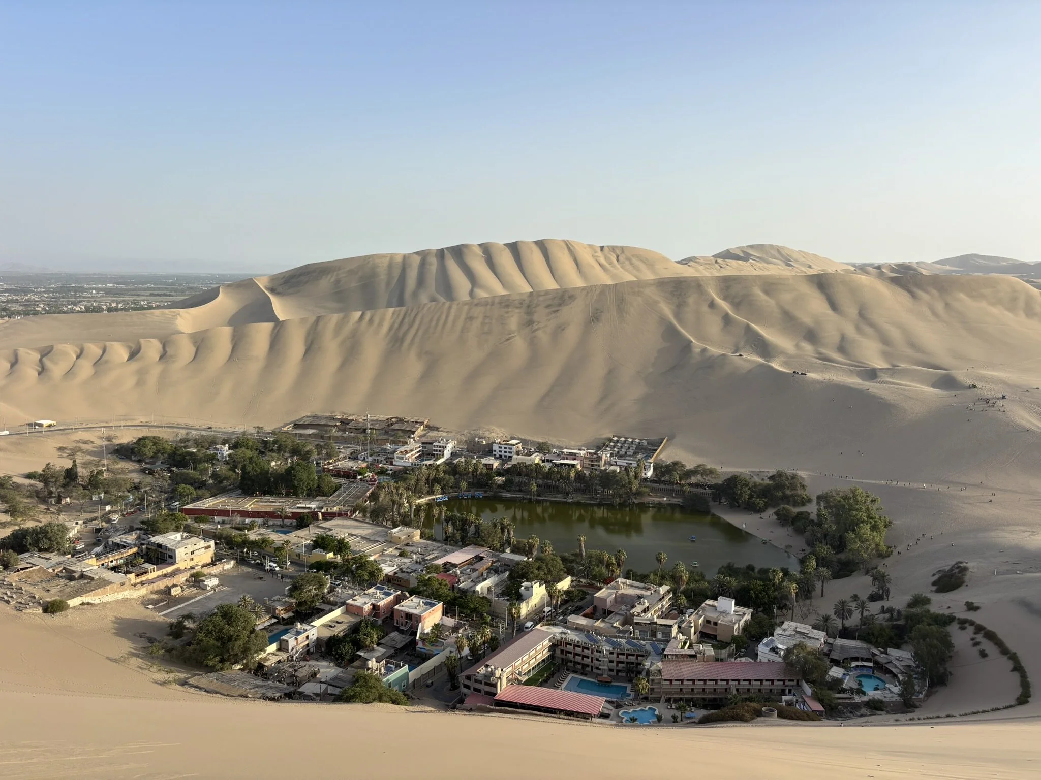 Imagen de un paisaje desértico con dunas de arena y una pequeña ciudad con edificios, árboles y un lago al pie de las dunas, bajo un cielo despejado.