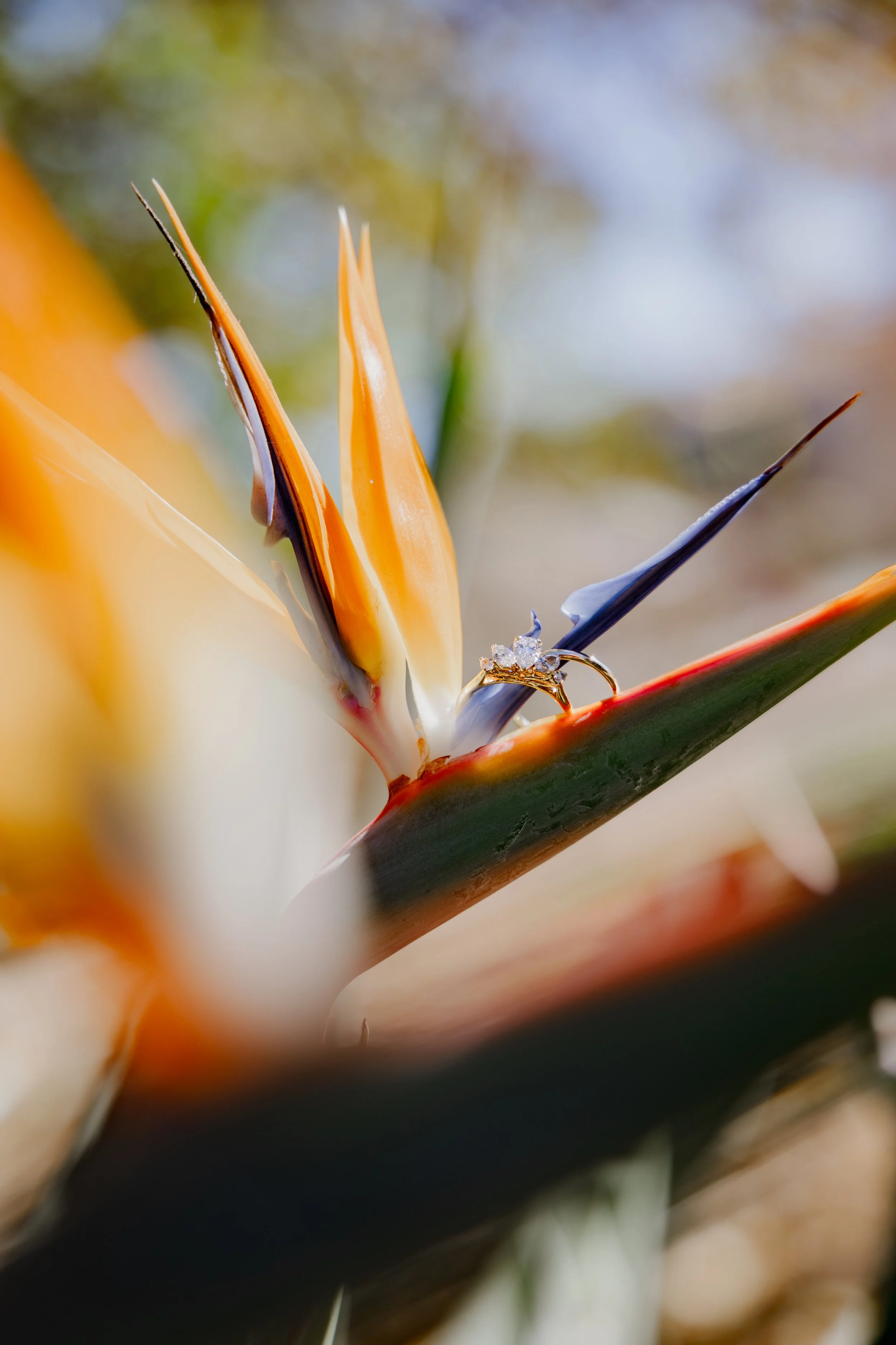 DrewRamseyPhotography-59.jpg