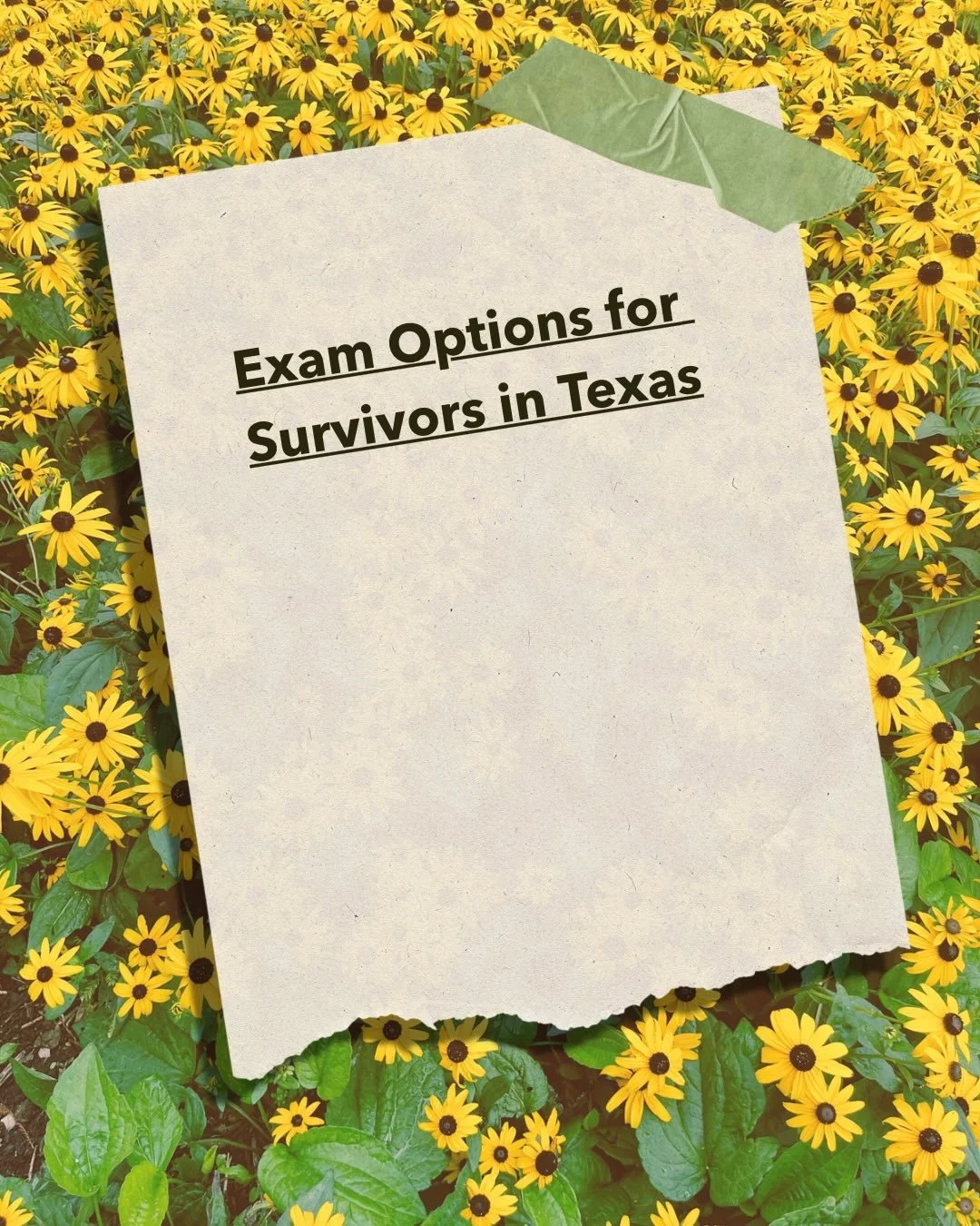 We believe survivors deserve to know their options. 

When survivors choose to reach out, talking about exam options can feel overwhelming. In general, adult patients can choose during their exam whether or not to involve law enforcement. We can help