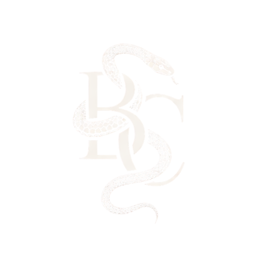 A digital illustration of a stylized DNA double helix with a large letter 'B' overlaid.