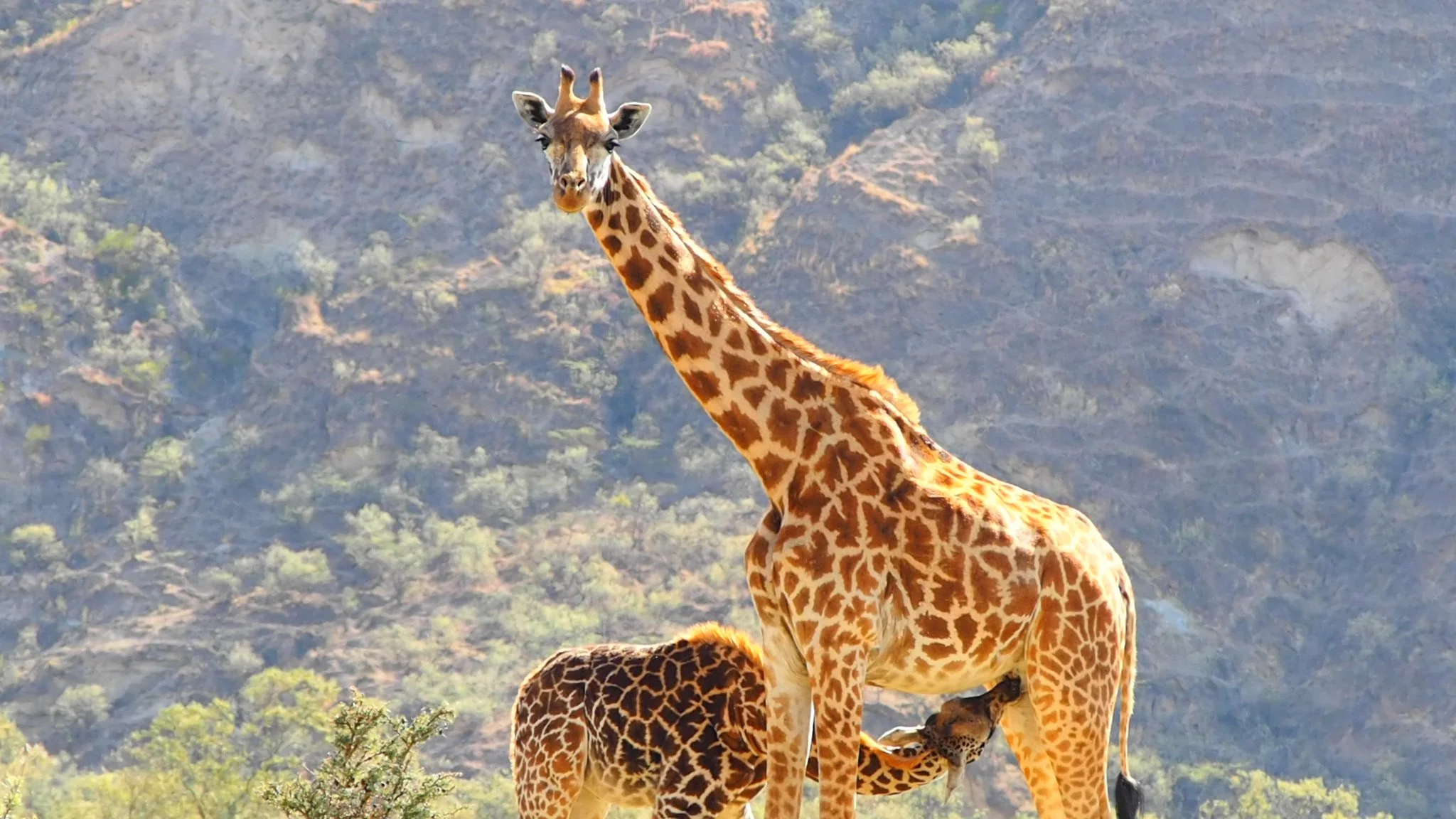 Hells Gate National Park