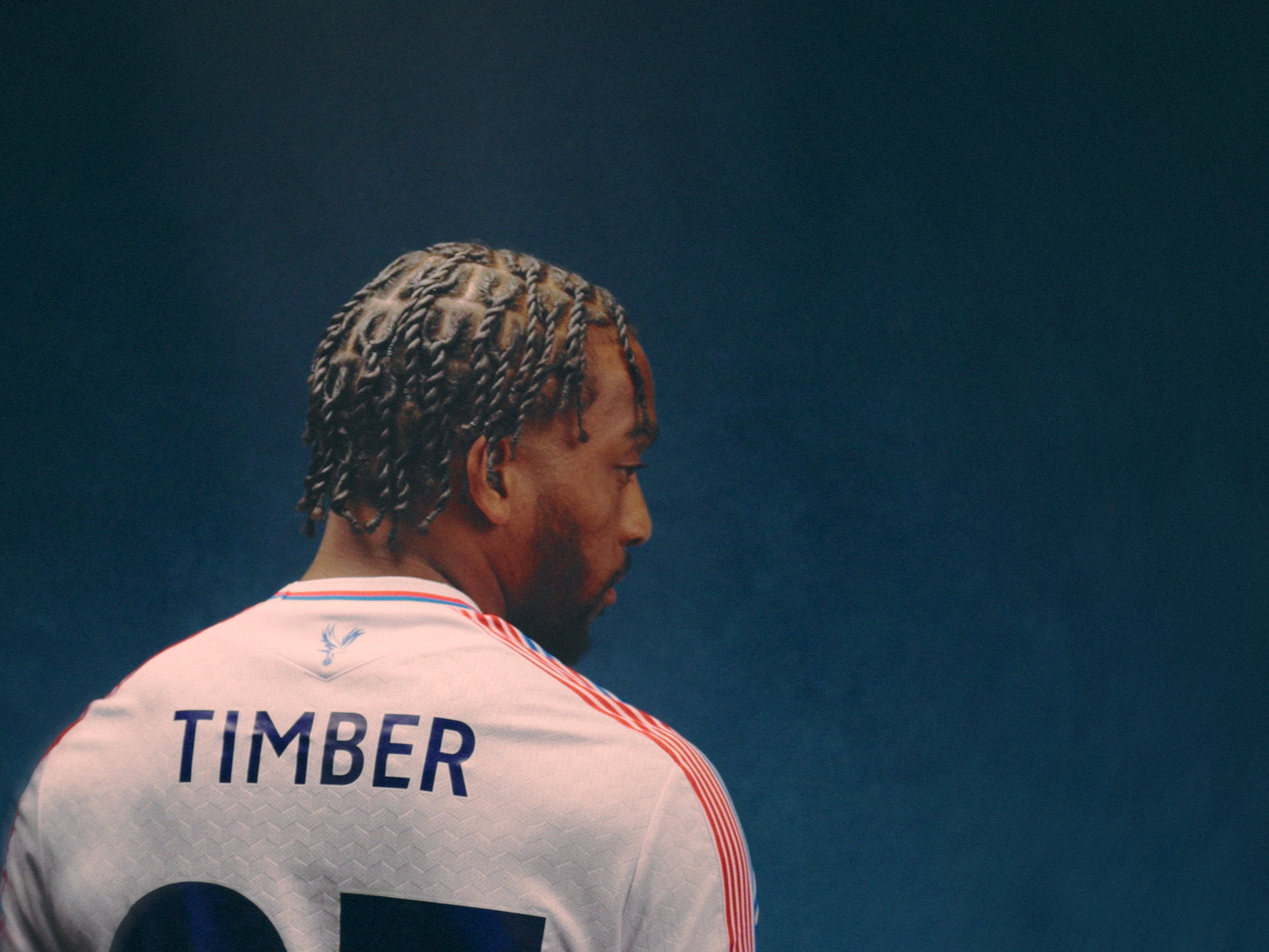 Timber.00_00_03_20.Still001.png
