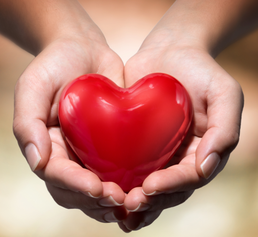 Two hands holding a shiny red heart-shaped object.