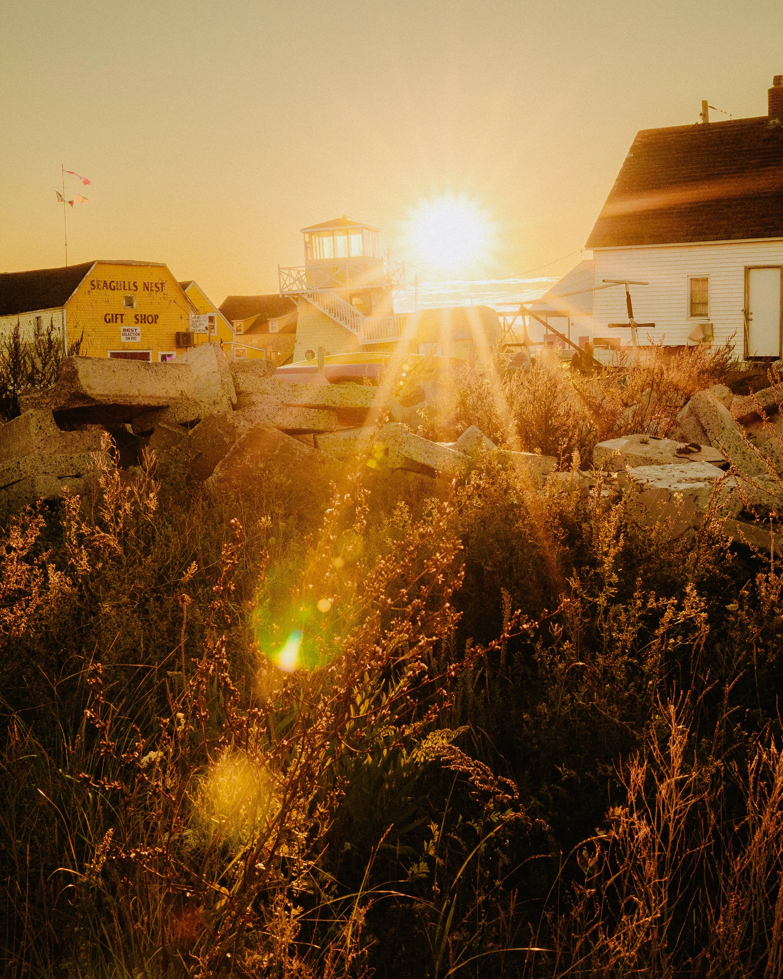 Sunset over a beach area with a small white wooden house and a yellow gift shop called Seagull's Nest, and a lighthouse in the background, with rocks and tall grass in the foreground.