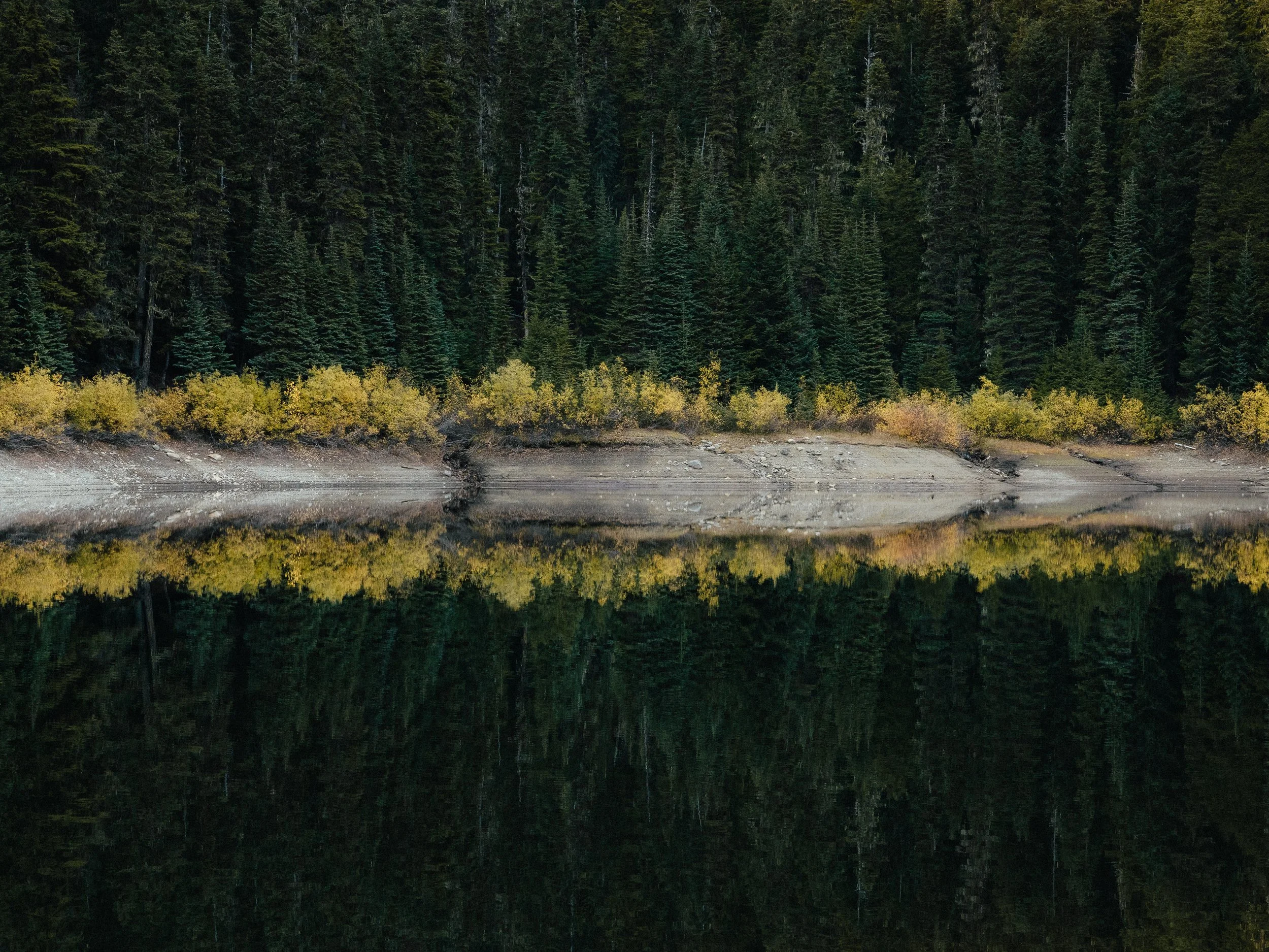 Mountainous forest with a calm lake reflecting the surrounding pine trees and a rocky shoreline.