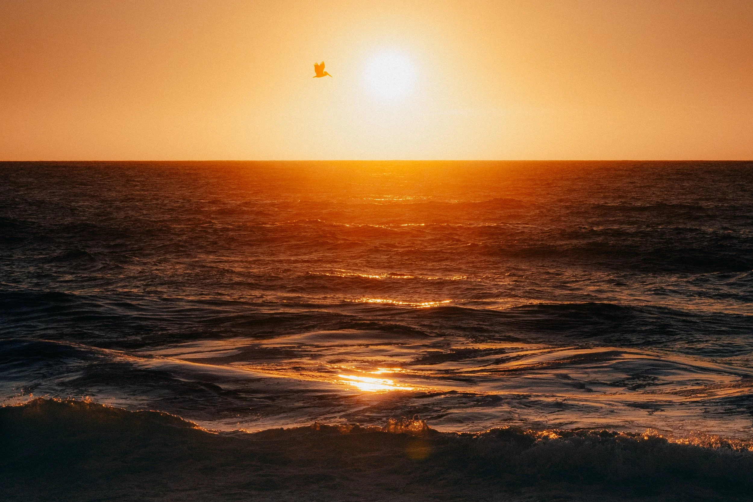 A sunset over the ocean with a bird flying in the sky.