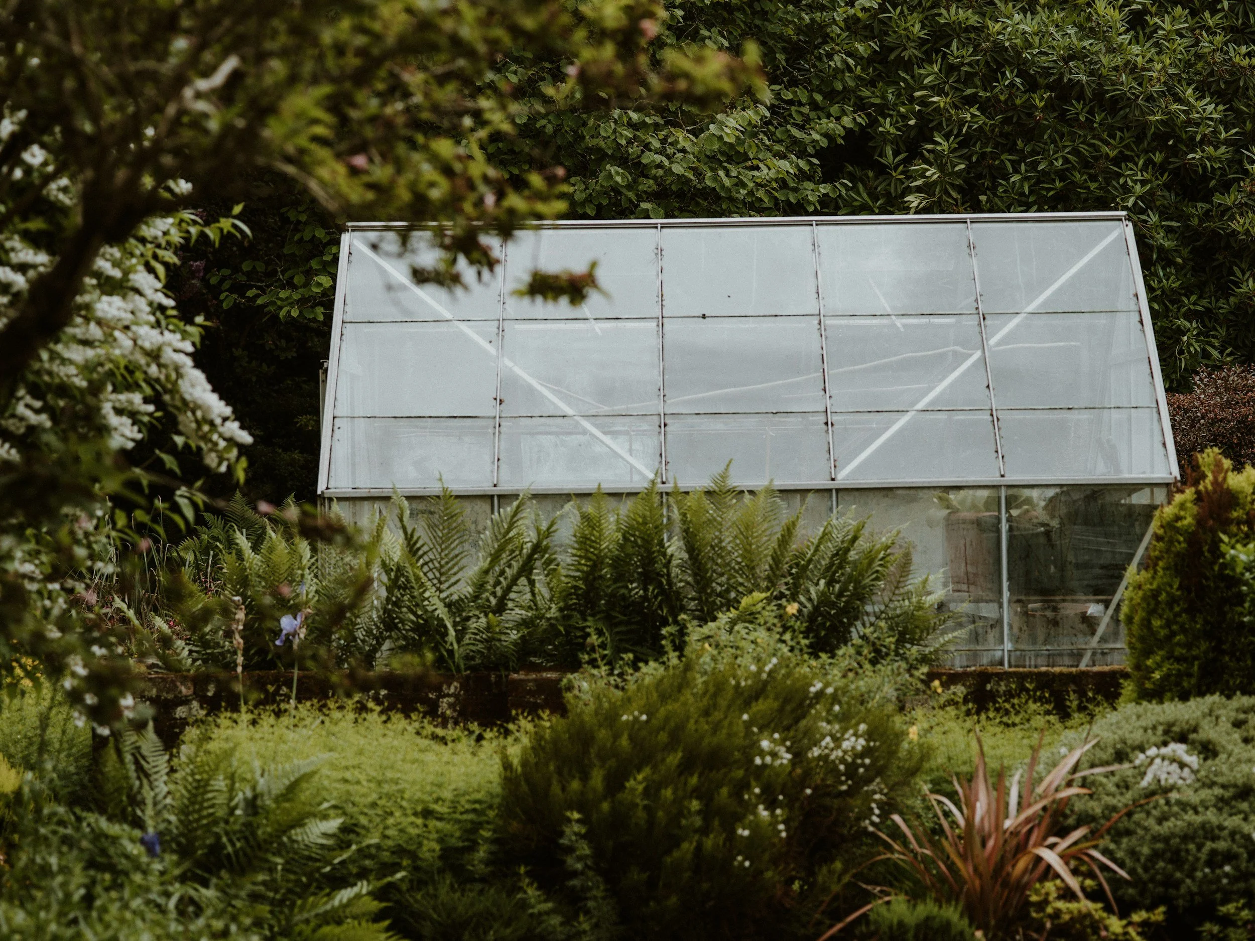 The image shows a greenhouse surrounded by lush greenery, plants, and trees in a garden setting.