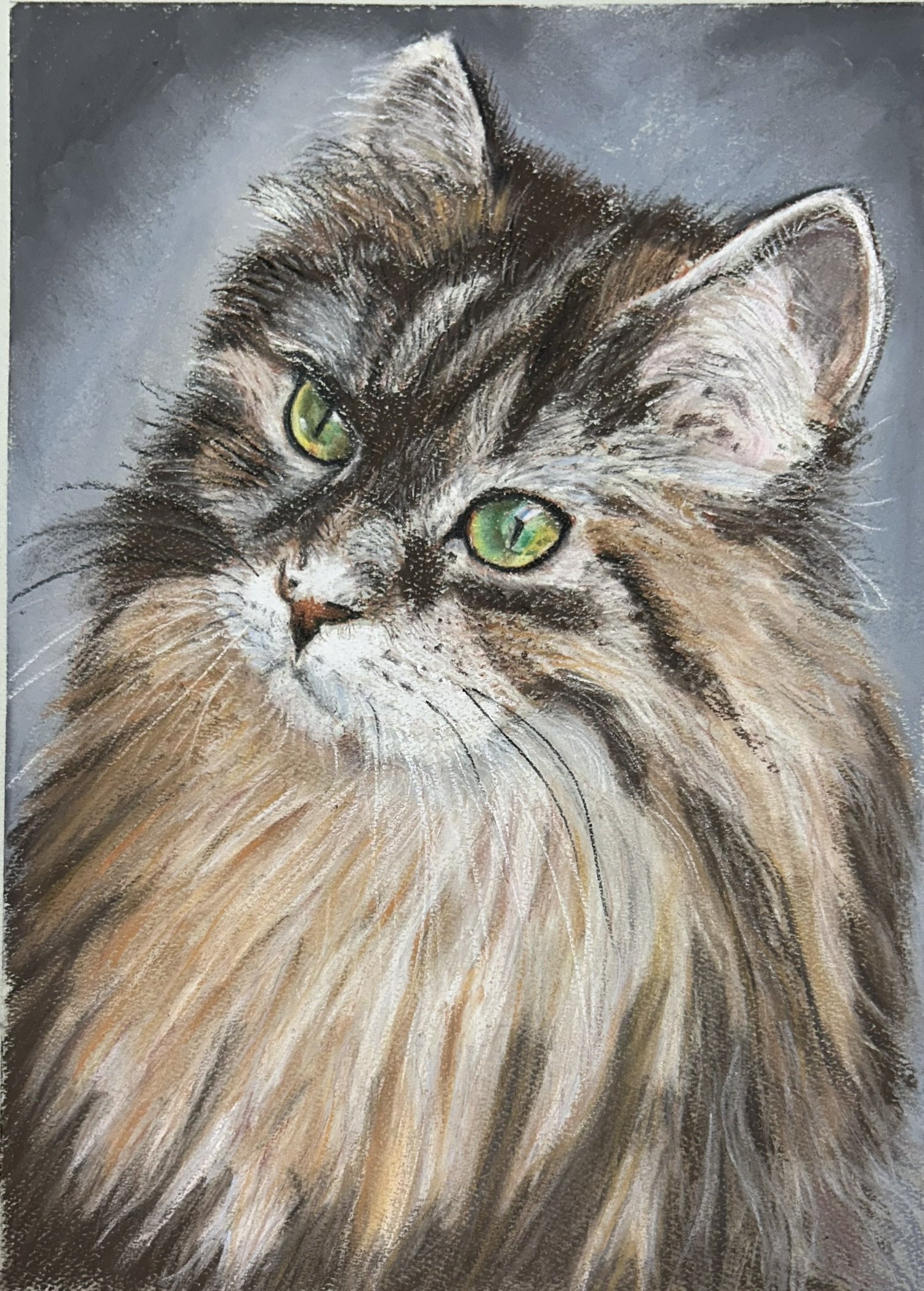 A pastel study of a cat with soft fur, attentive eyes, and carefully observed details.