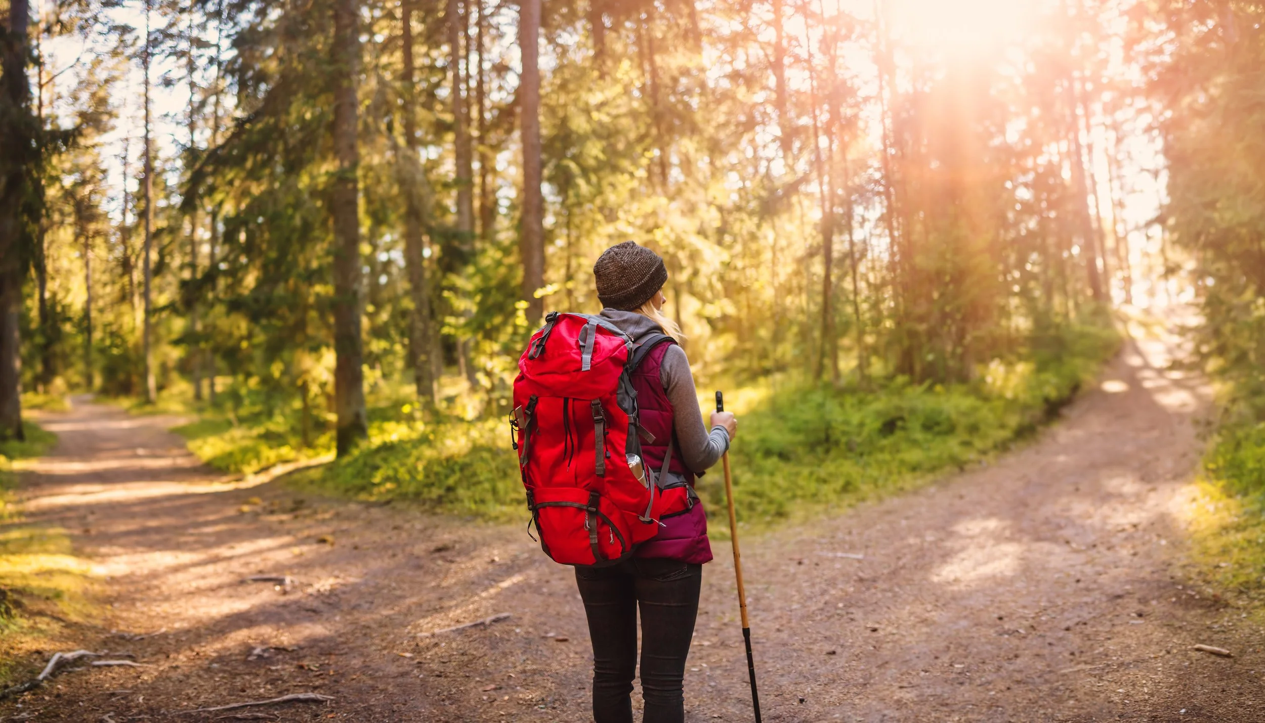 Hiker with a backpack standing at a fork in a wooded trail.