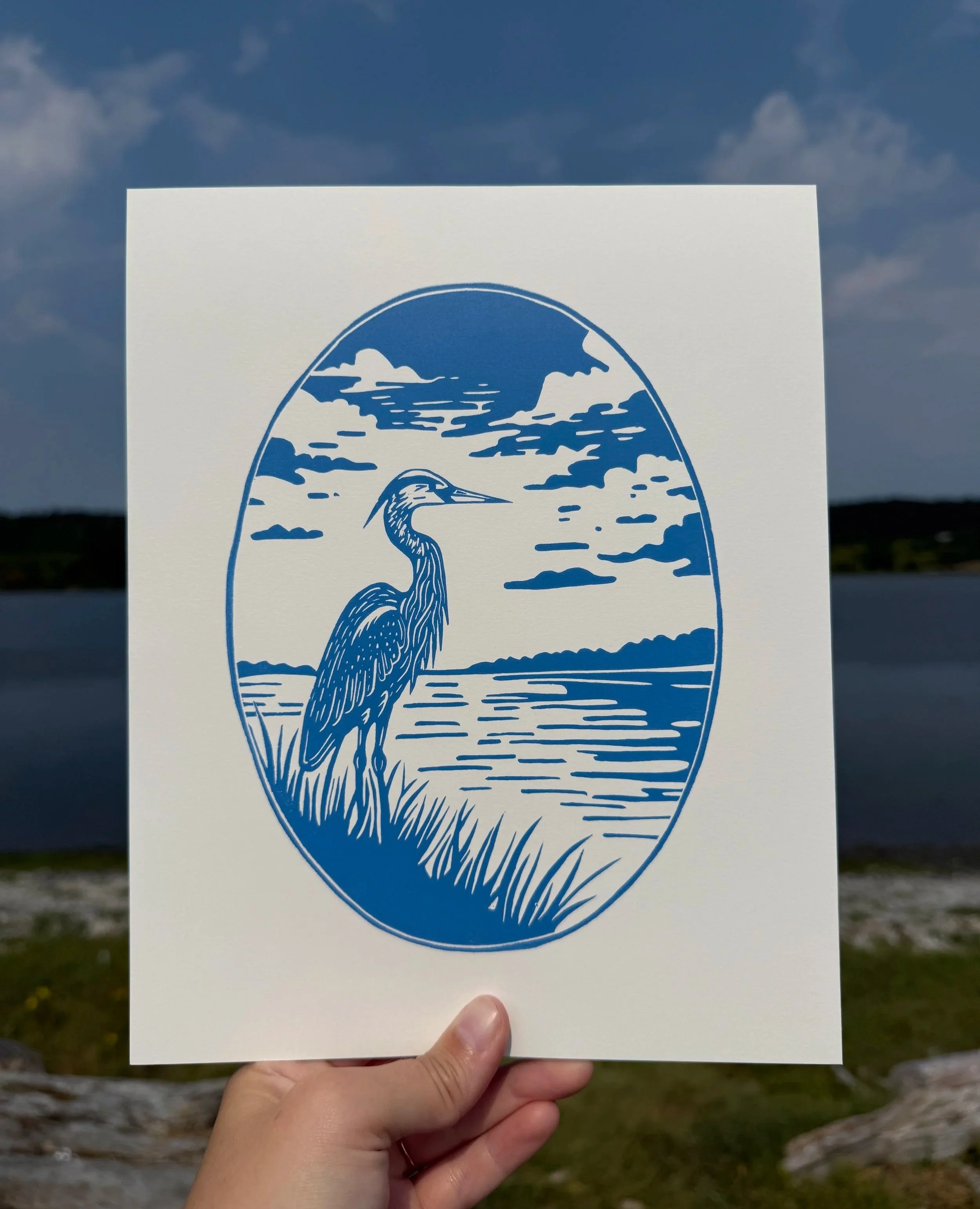 Morning Stillness | Great Blue Heron
