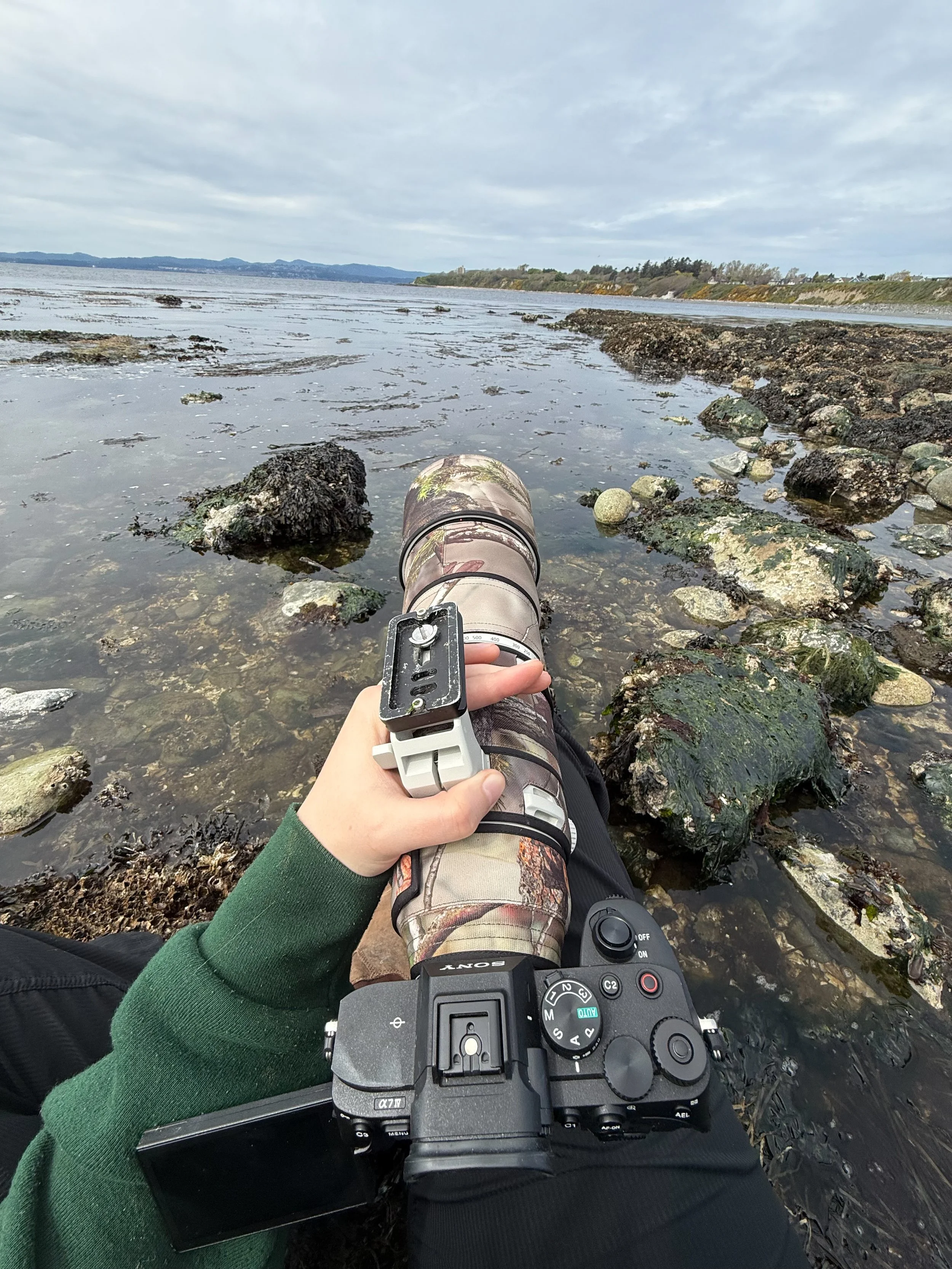 Person sitting on rocks at the shoreline, holding a camera with a long lens, with water and distant land in the background, overcast sky.