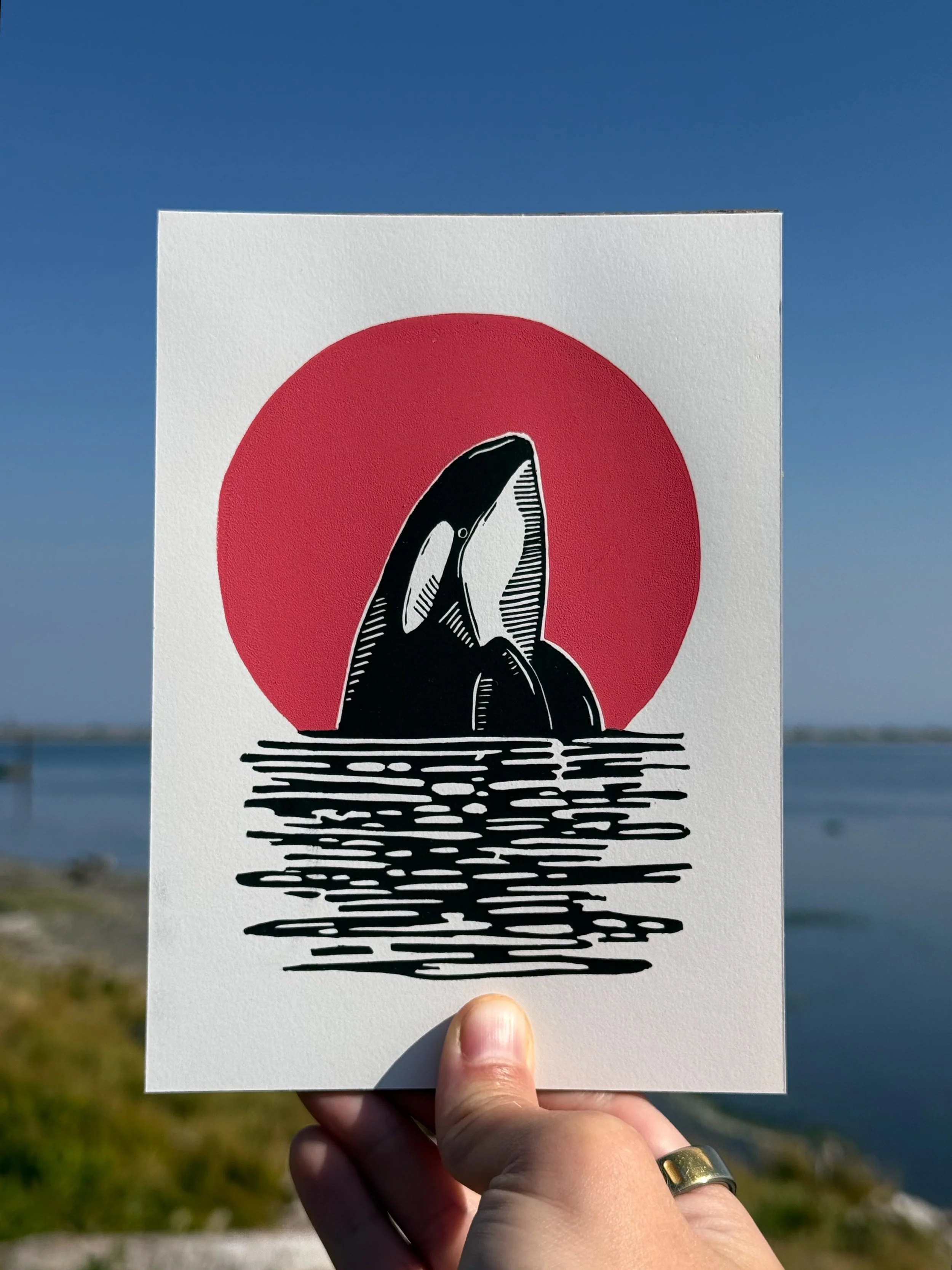 Crimson Horizon | Orca