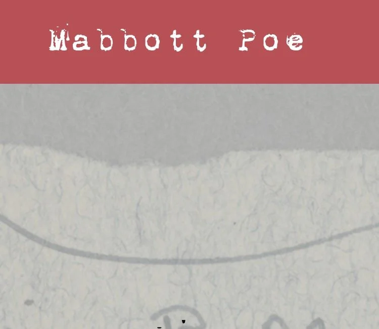 Close-up of the book cover for 'Mabott Poe' with a pink upper section and a textured white lower section.