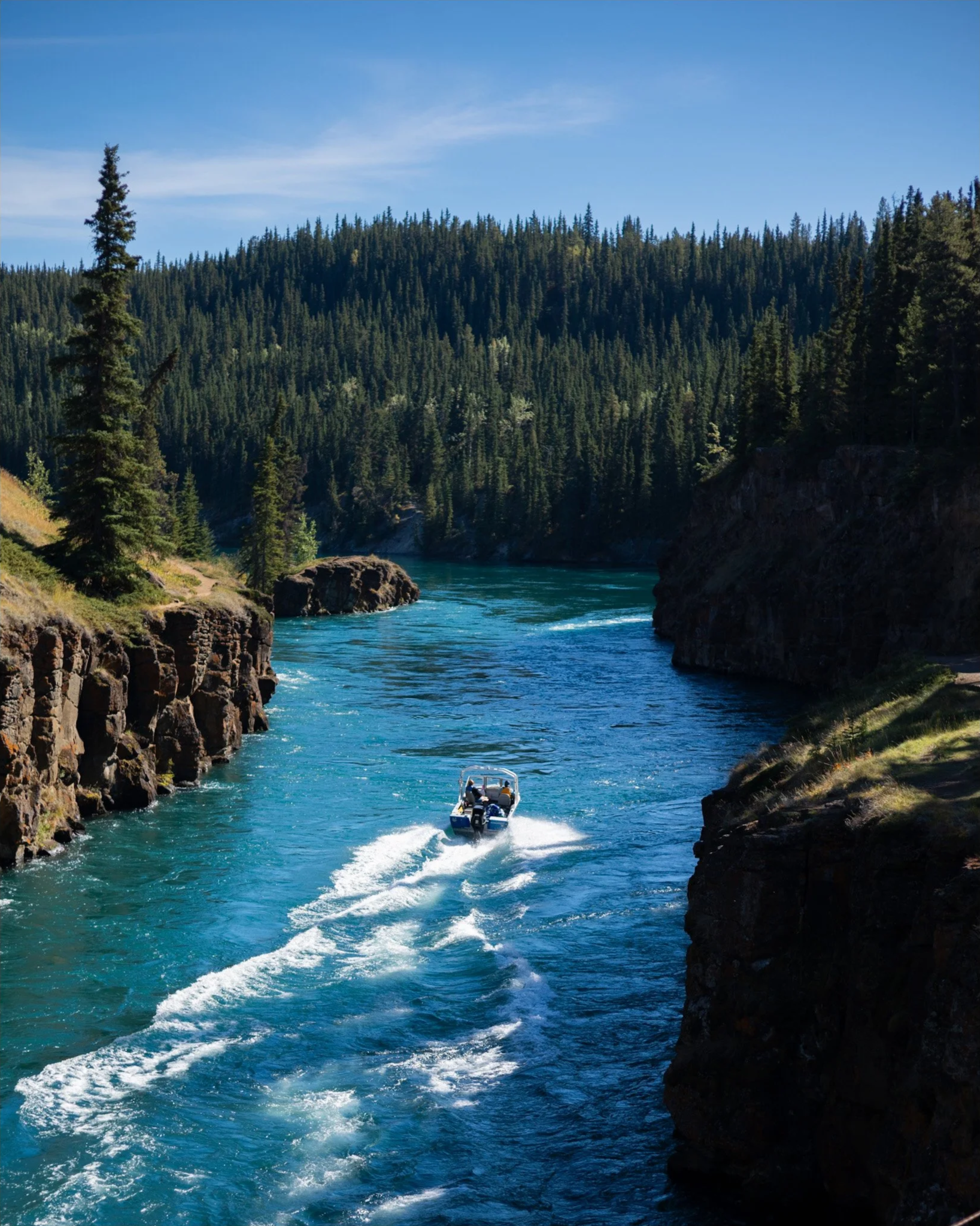 A boat speeds through a river surrounded by steep rocky cliffs and dense evergreen forested hills under a clear blue sky.