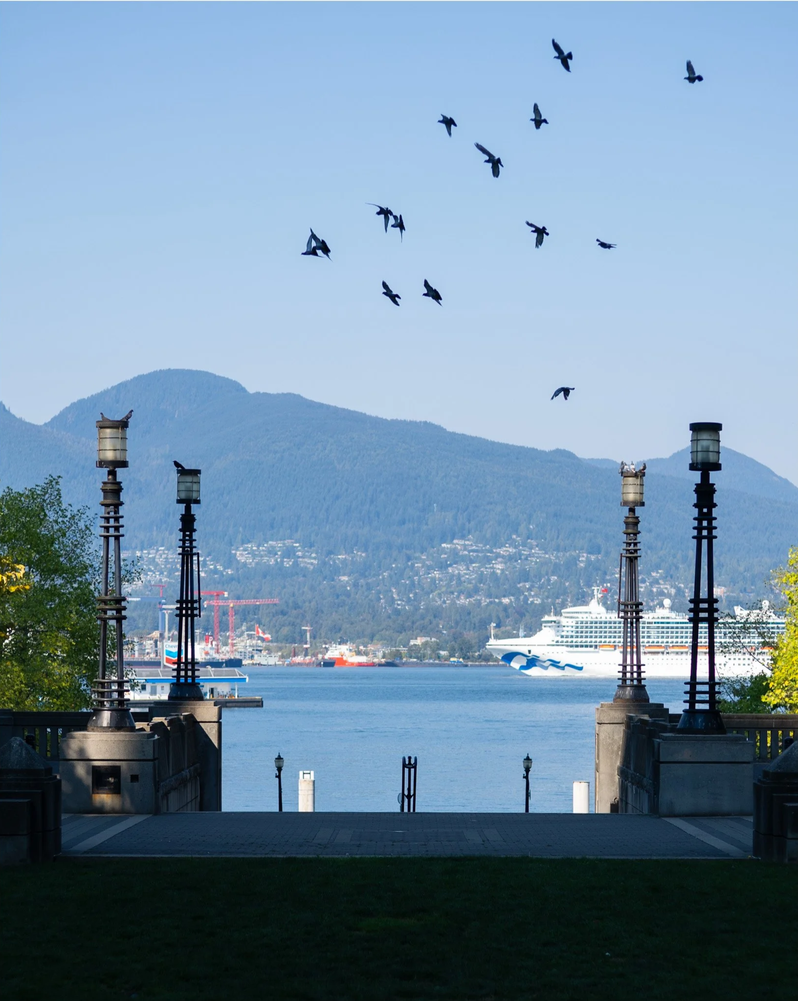 View of a harbor with mountains in the background, several birds flying in the sky, and ship and cranes on the water. The image is framed by lampposts and a walkway with trees on either side.