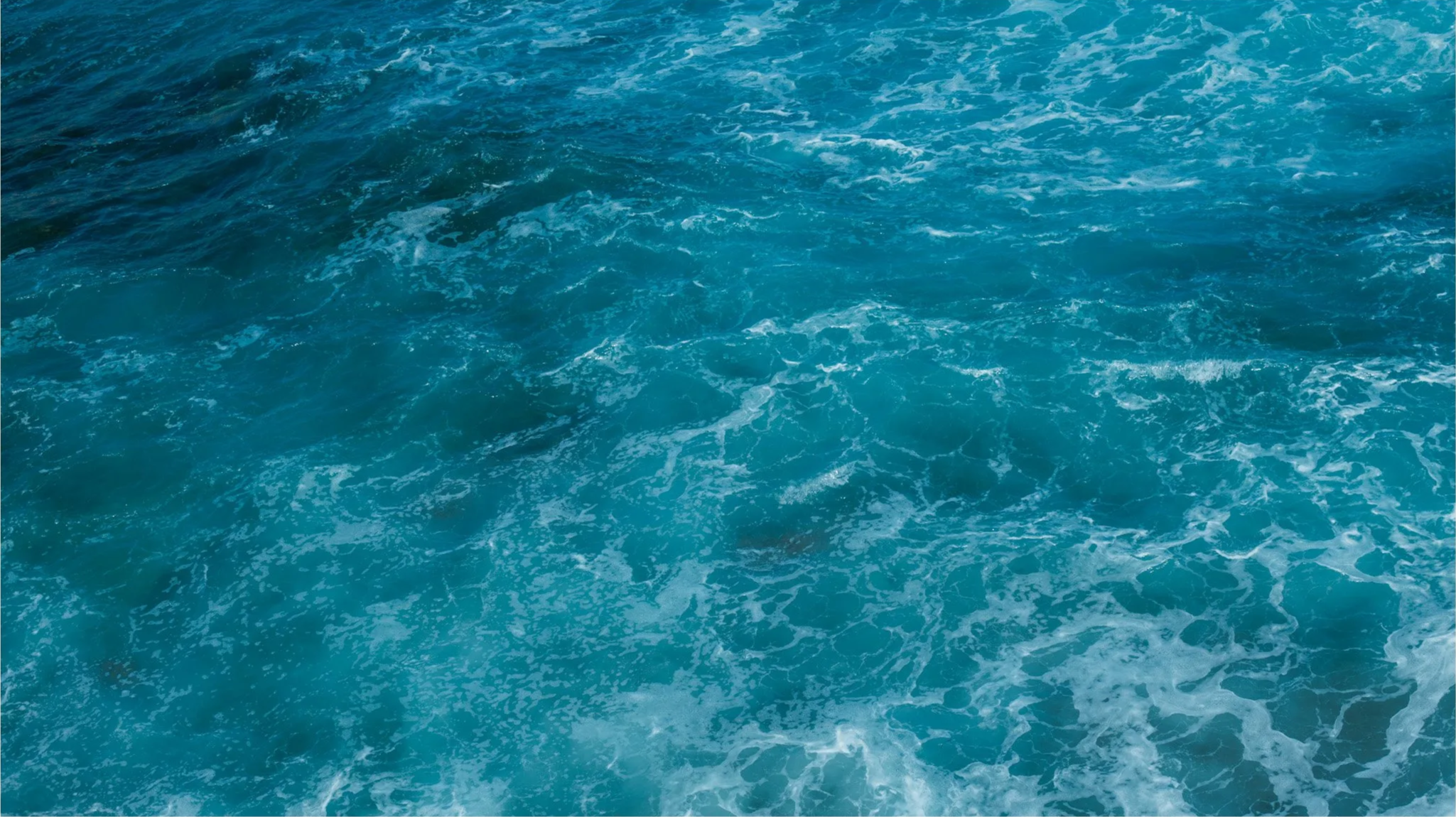 IMG_6928.png