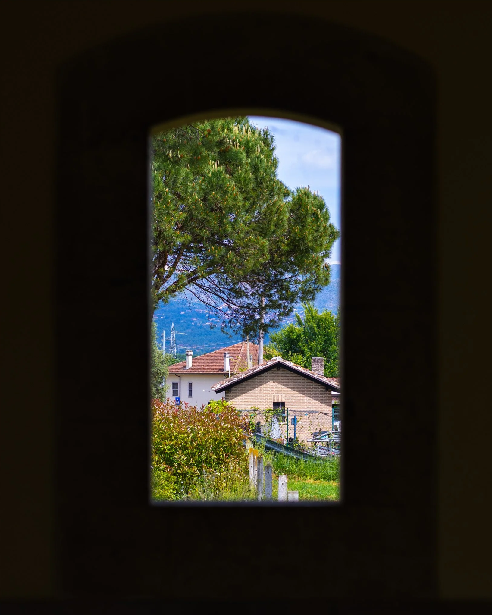 IMG_7006.png