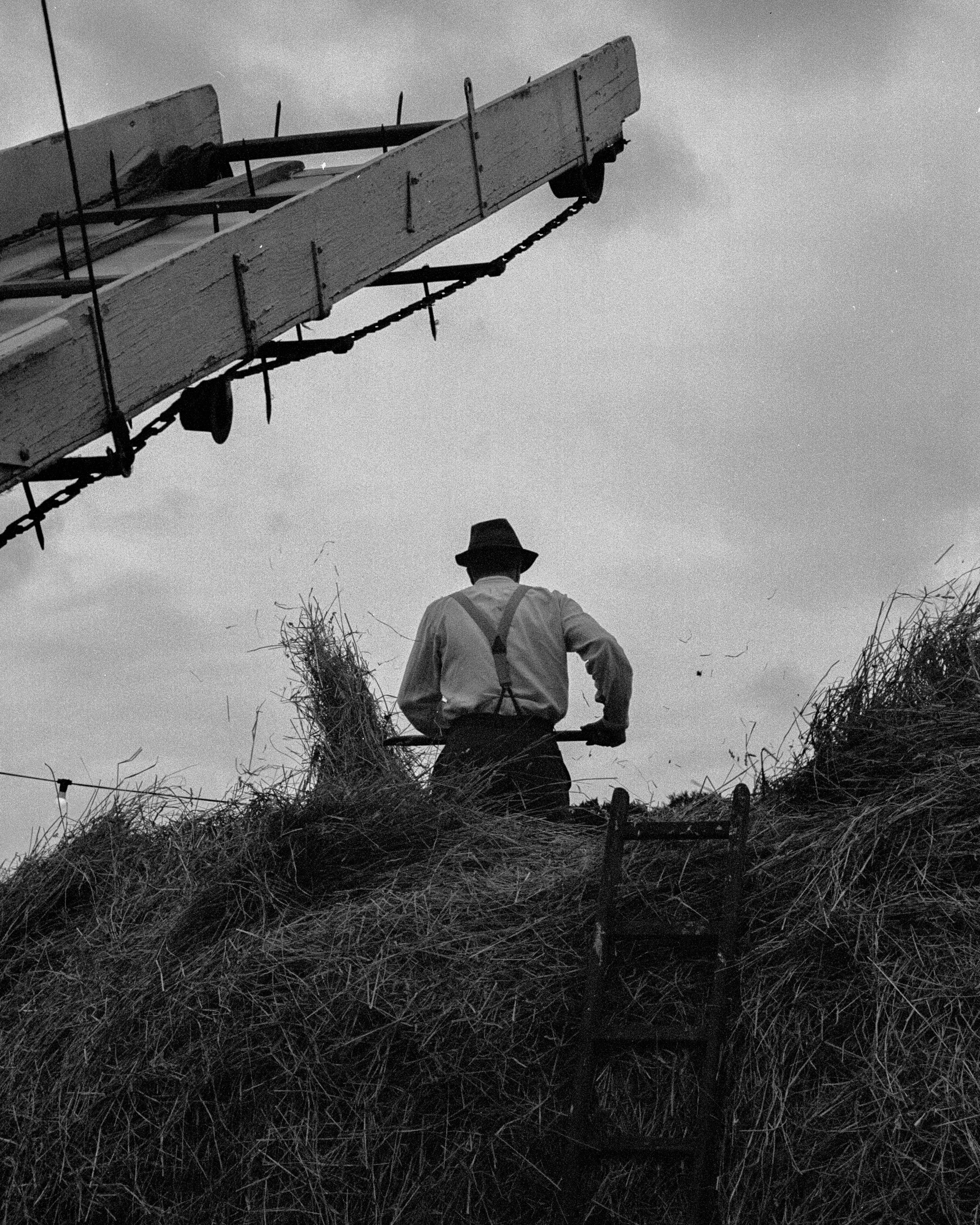 A black-and-white image of a man wearing a hat, shirt, suspenders, and trousers, standing on a hill covered in dry grass and twigs, looking up at a tall ladder or scaffold.