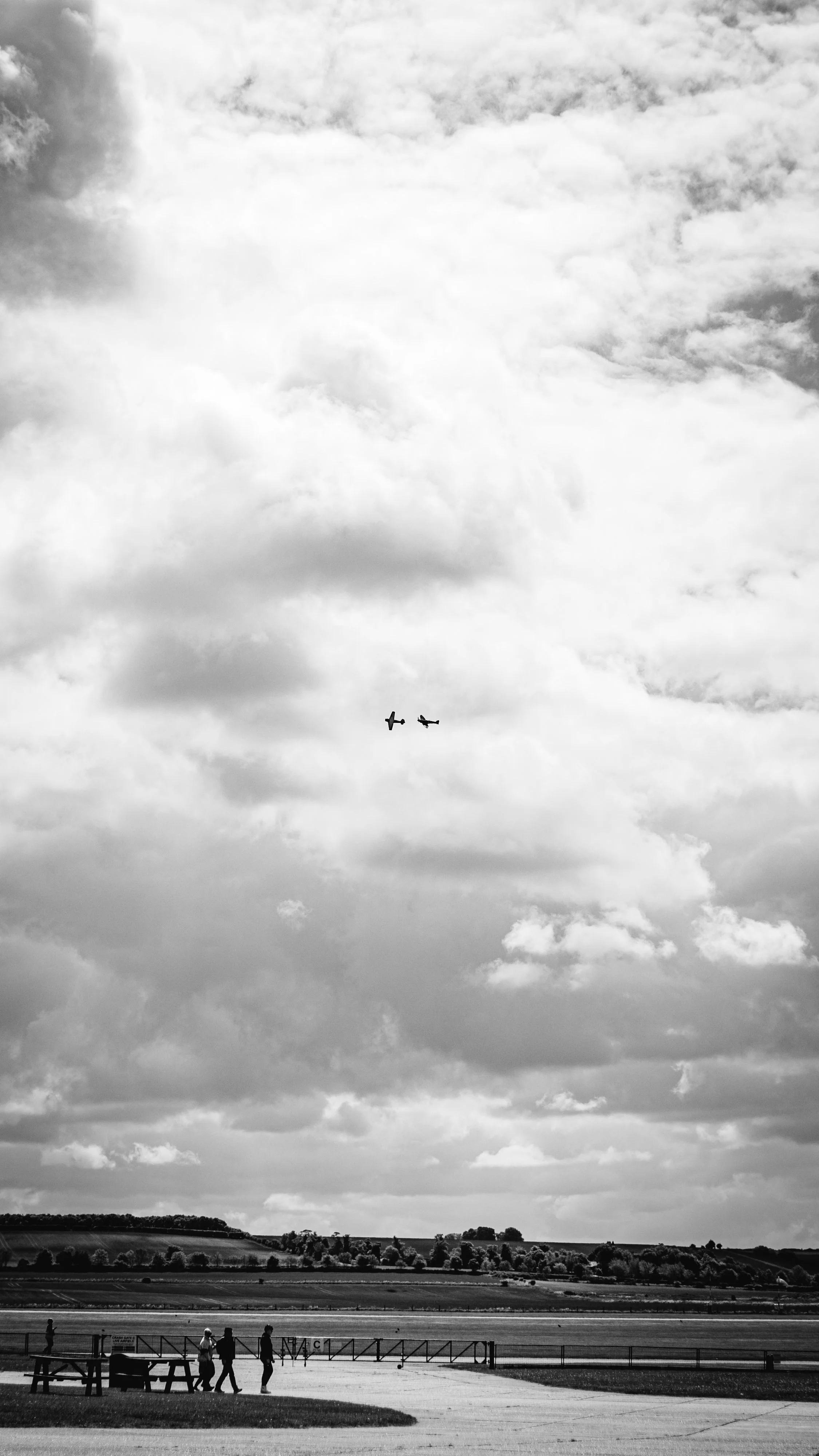 IMG_8528.jpg
