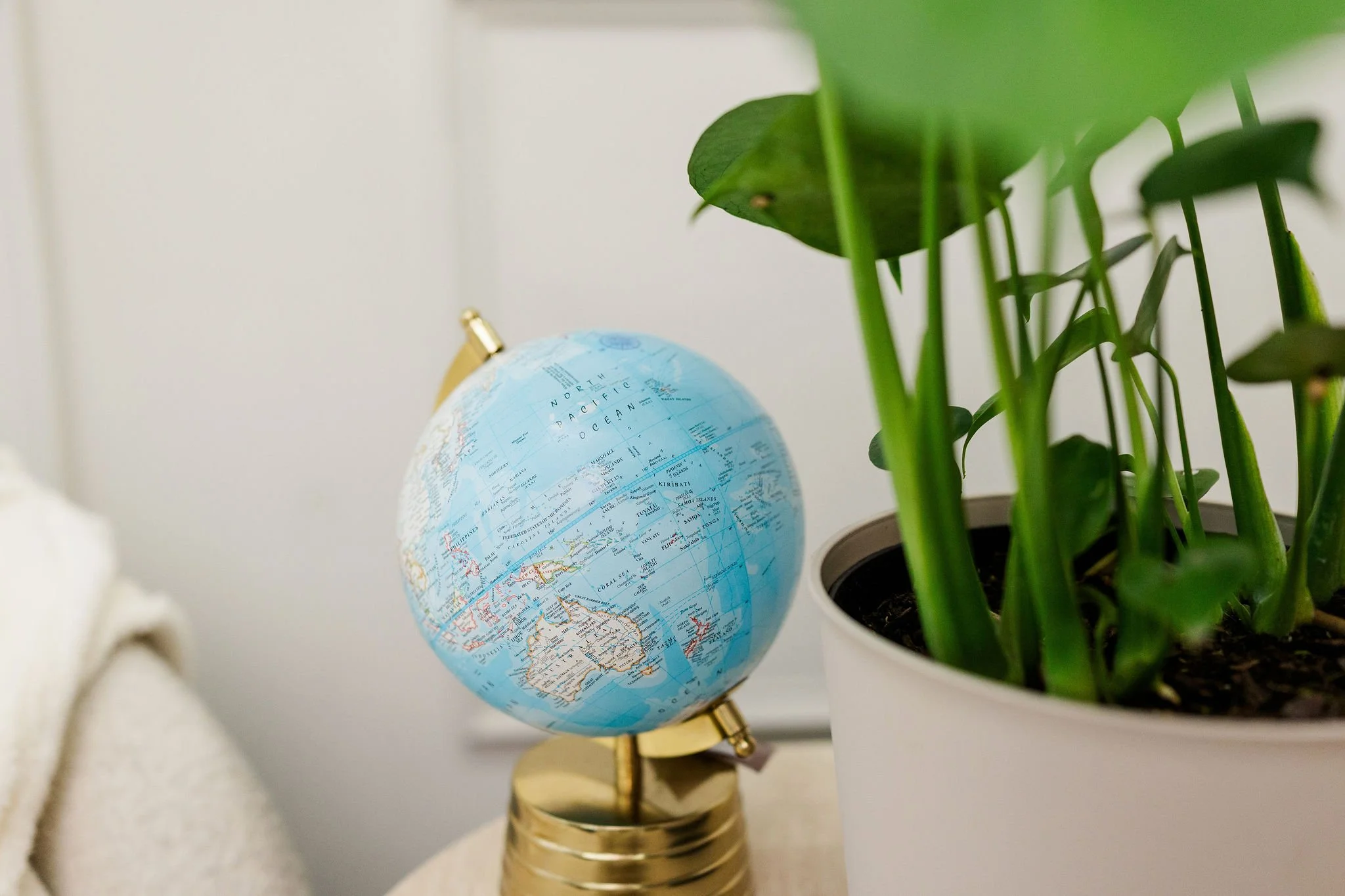 A globe and a potted green plant on a white surface.