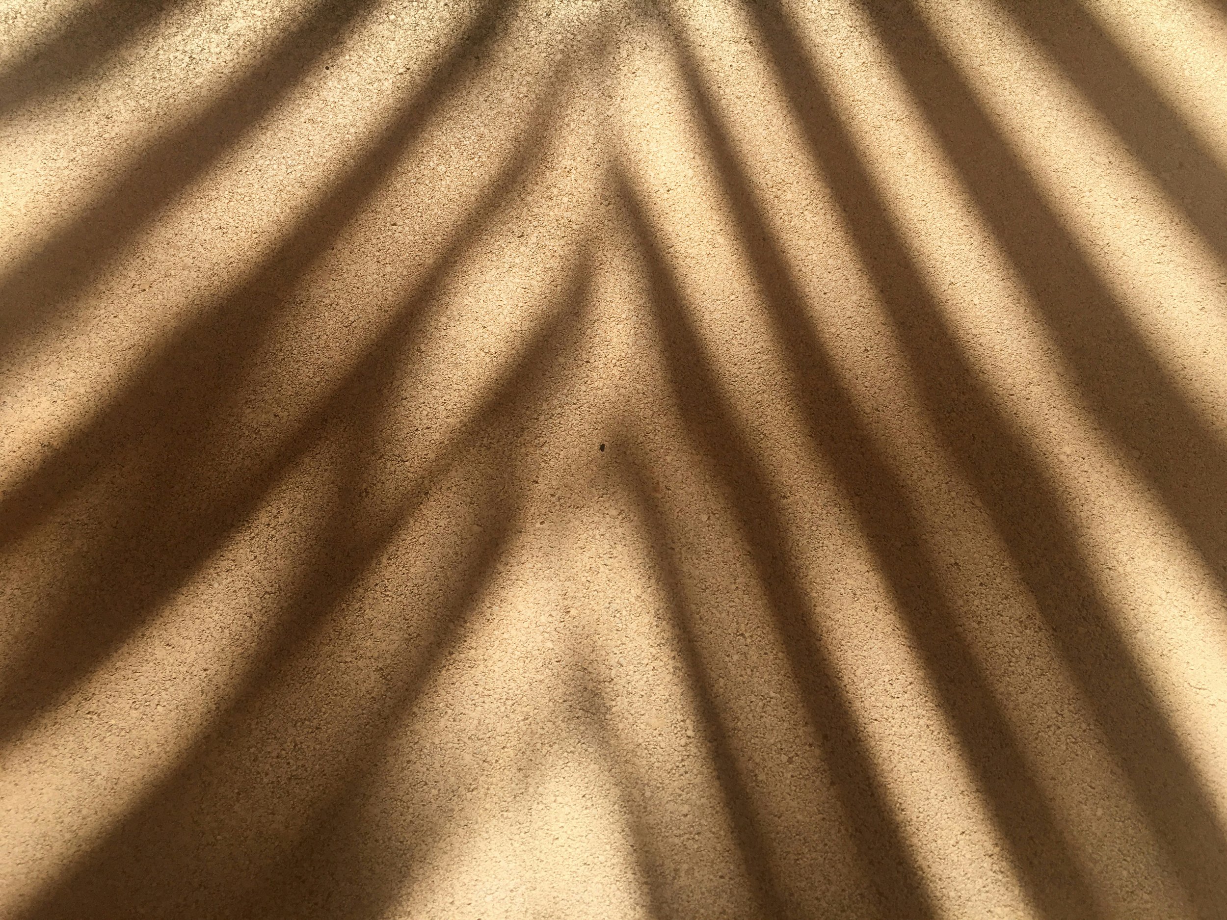 Shadows of palm tree leaves cast on a warm beige surface.