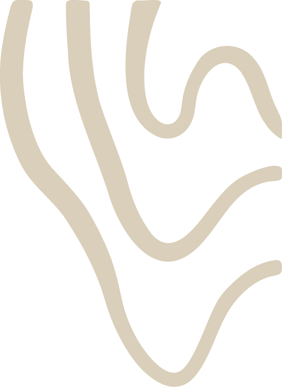 Abstract black and beige wavy lines on a black background.