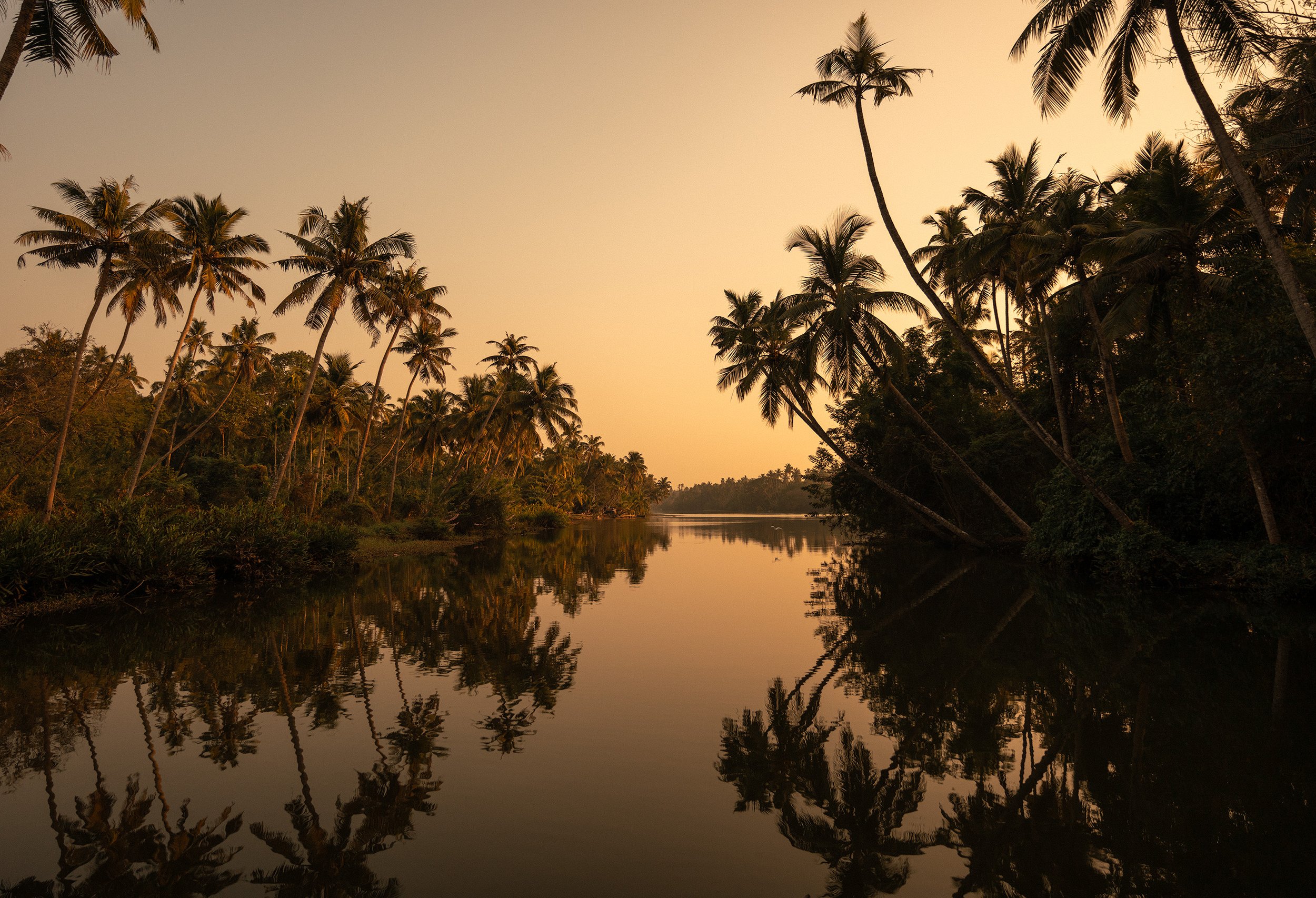 A tropical scene at sunset with a river reflecting a sky filled with palm trees.