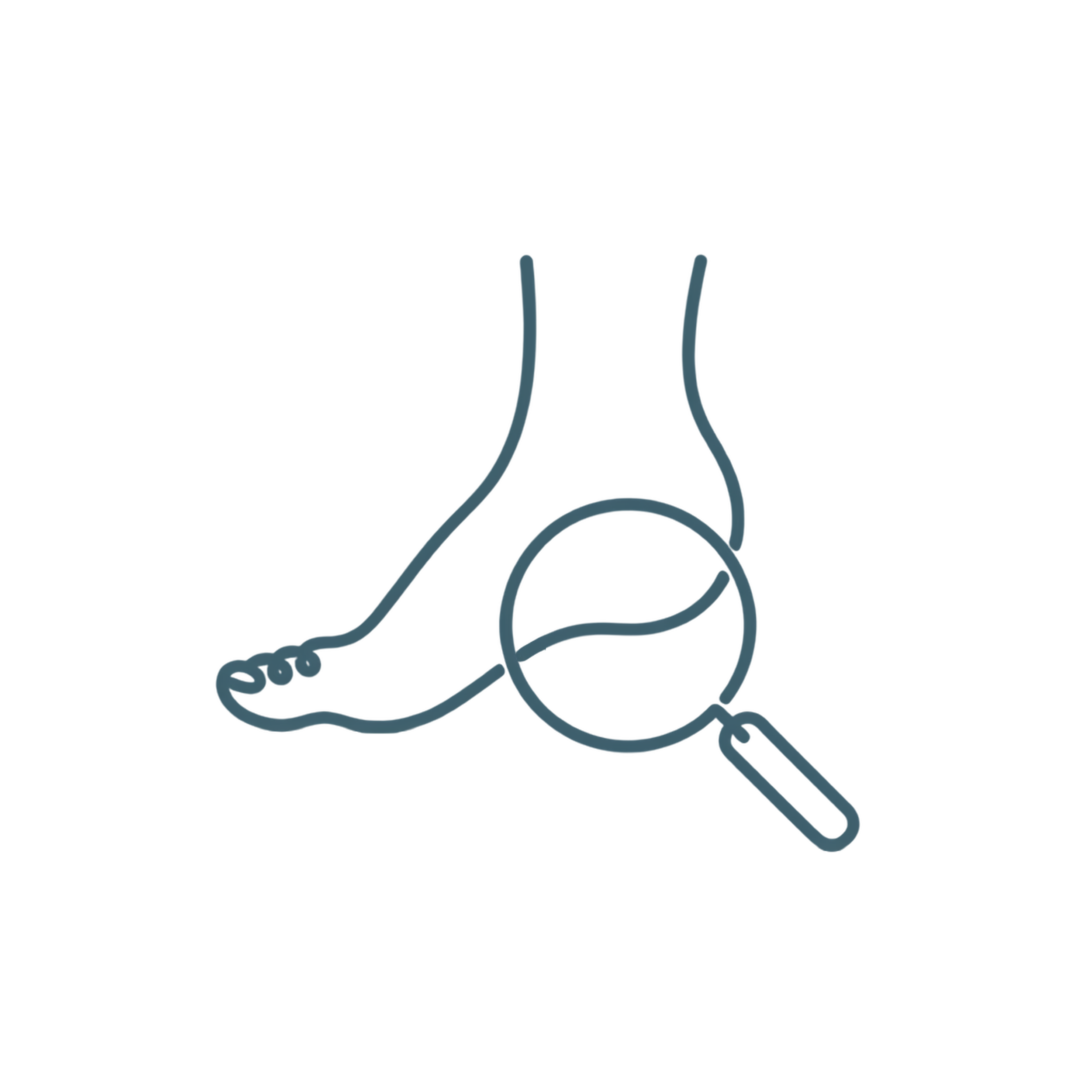 Illustration of a human kidney with labeled structures including the renal cortex, renal medulla, and renal pelvis.