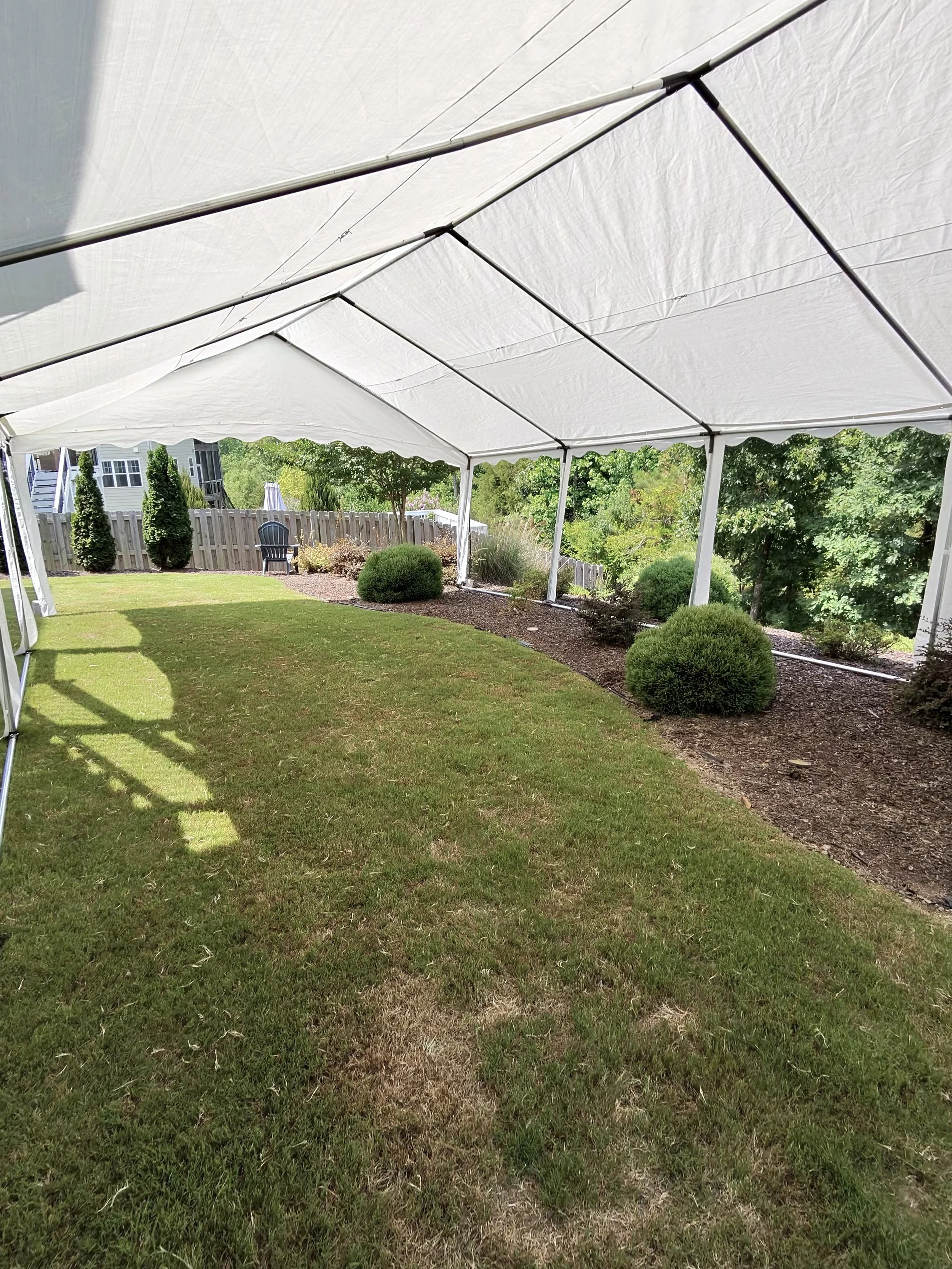 20x30 Canopy