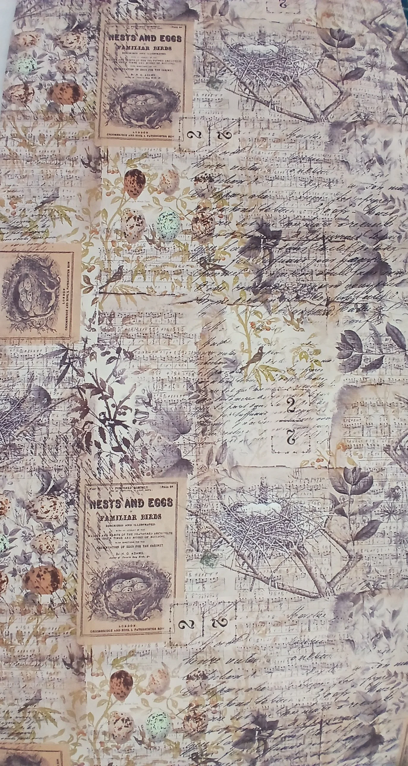 Tim Holtz Collection