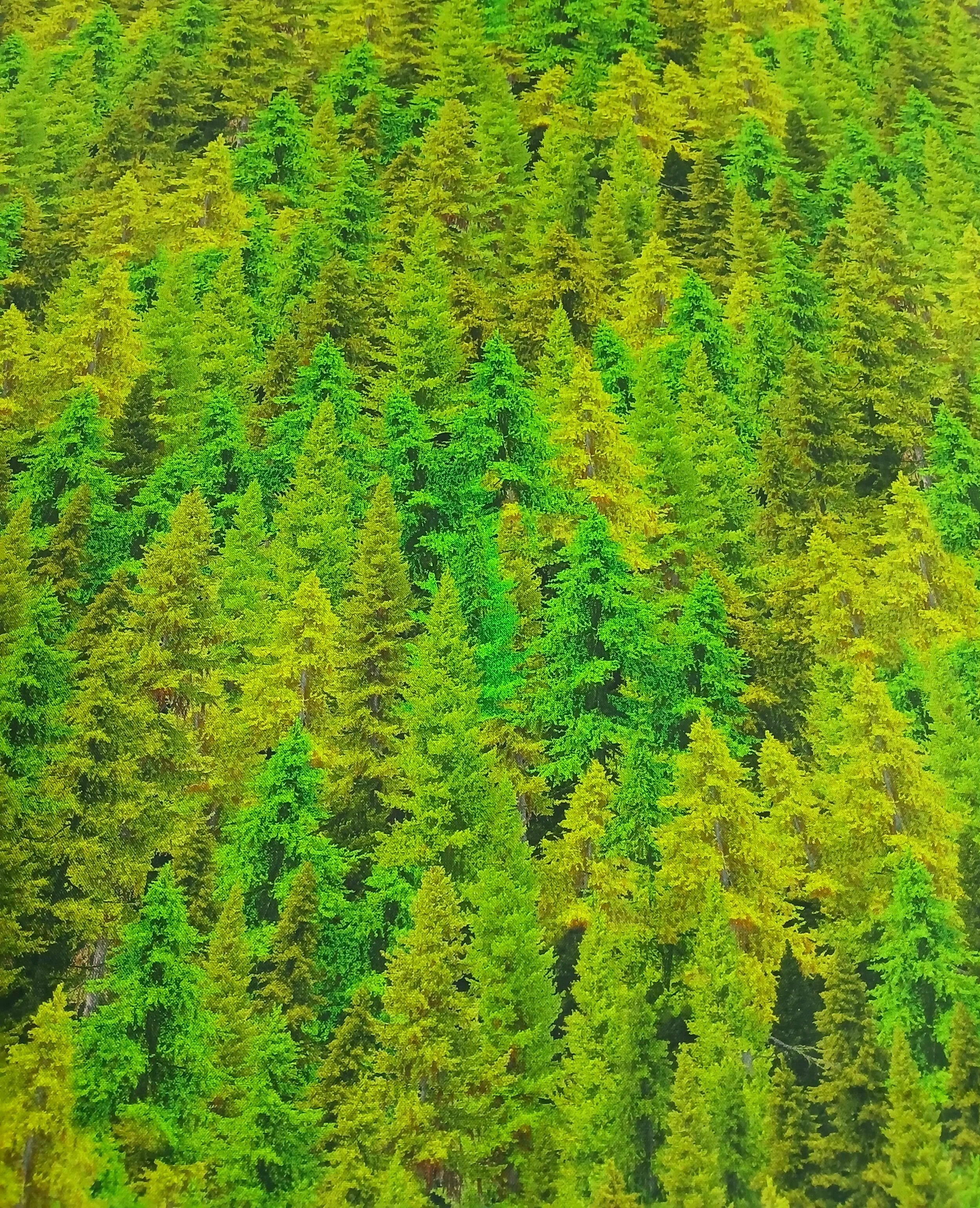 20261005_154120+%281%29.jpg