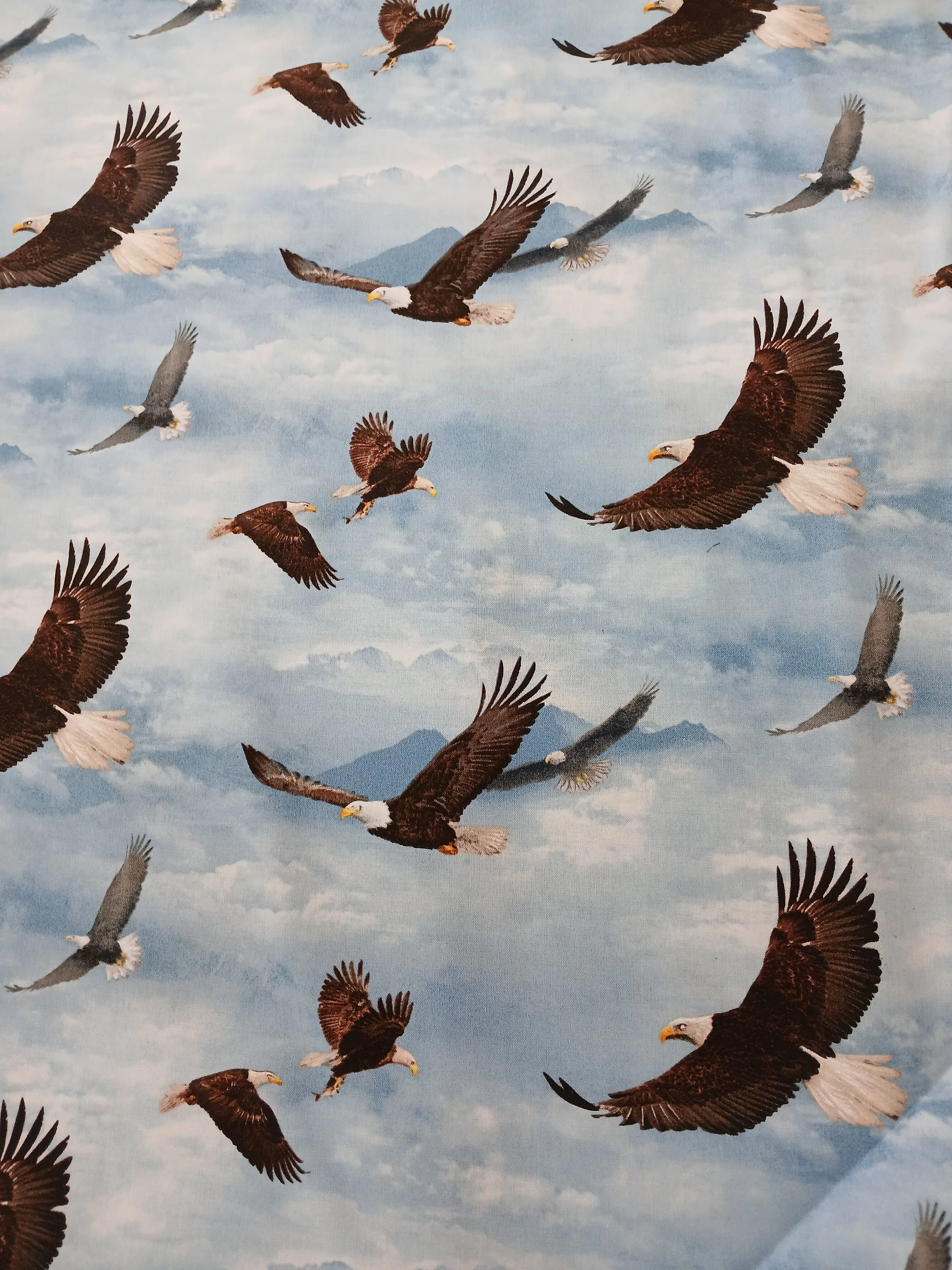 Wildlife