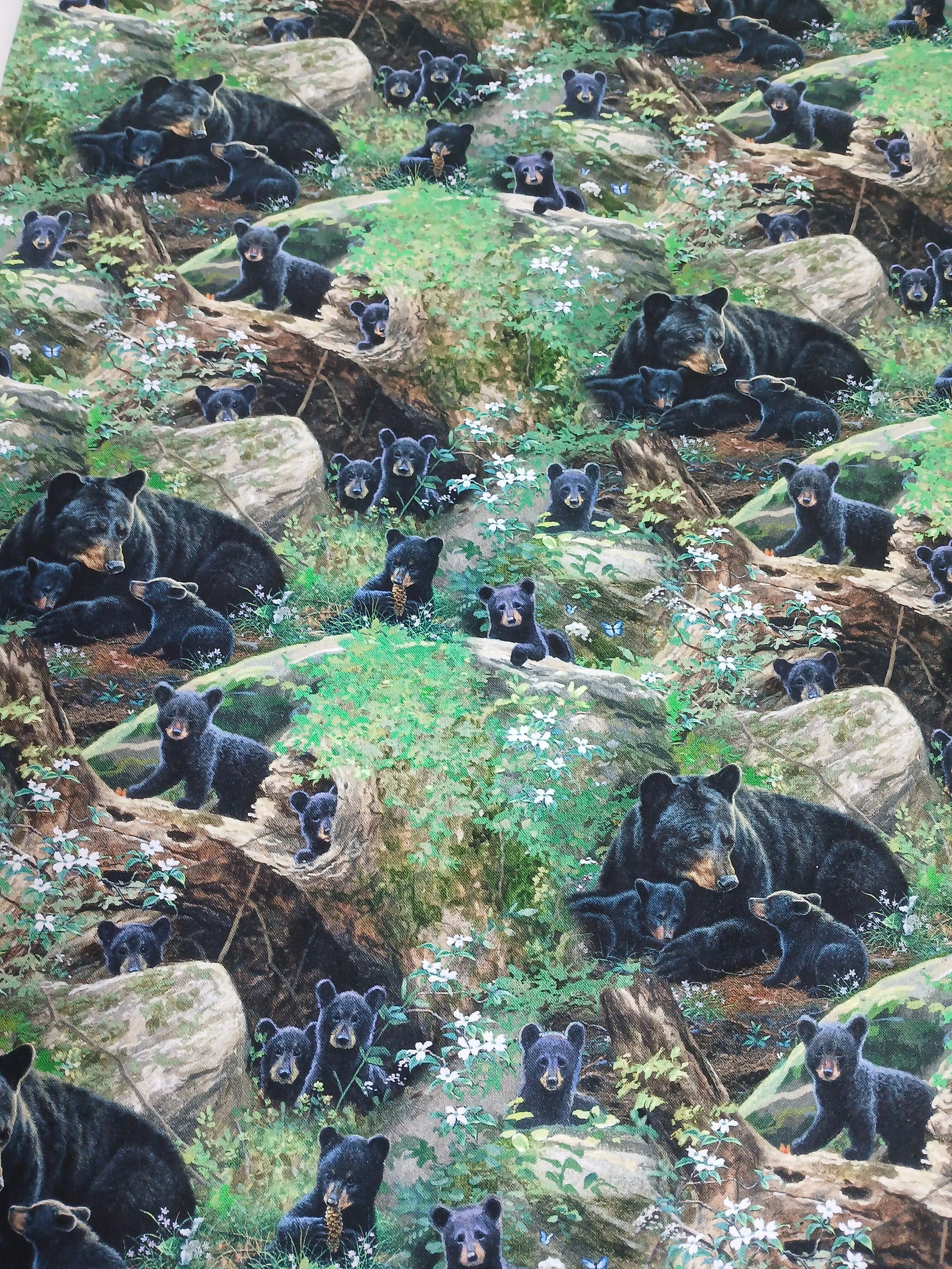 Wildlife