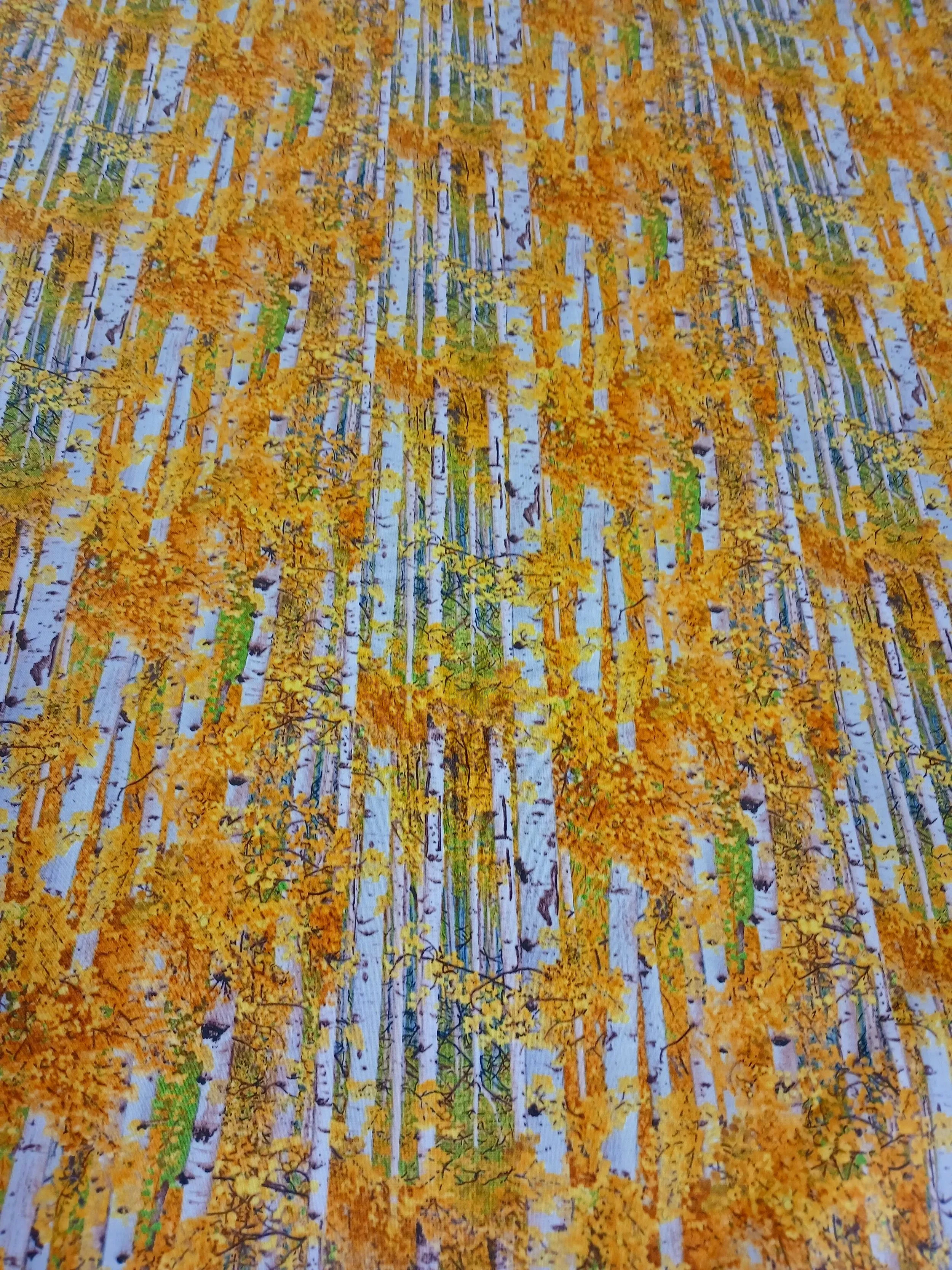 20260914_154047.jpg