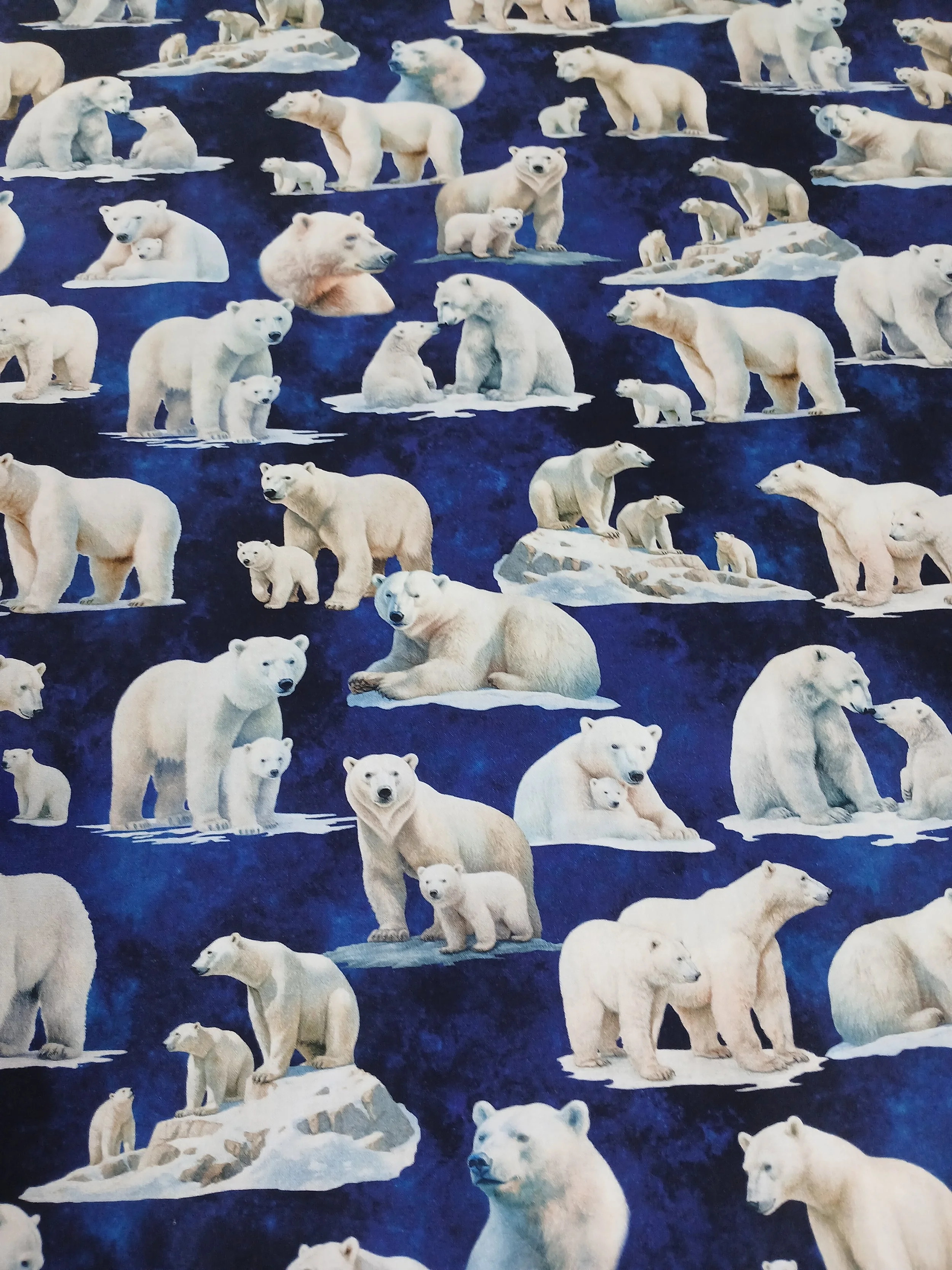 Wildlife