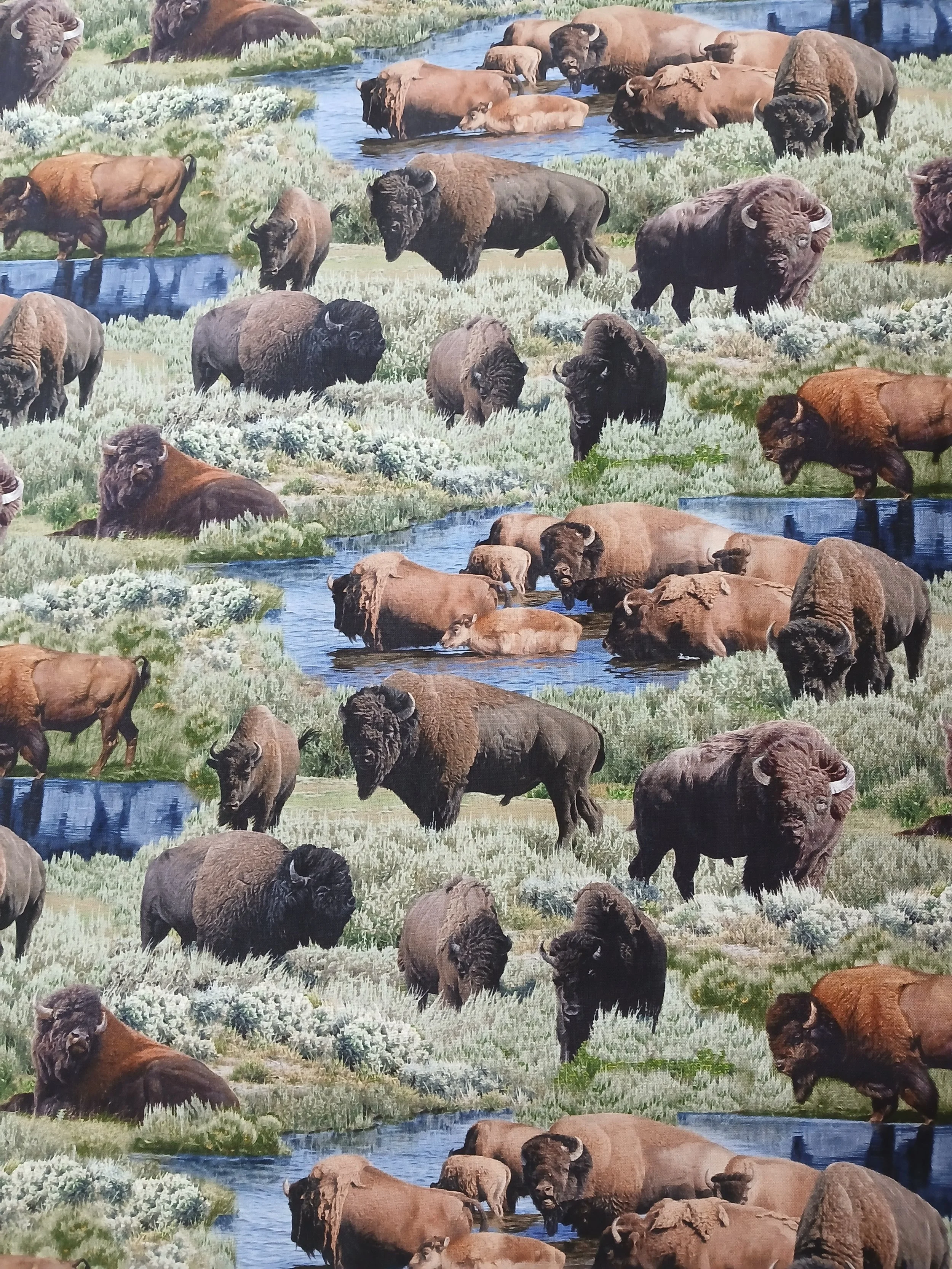 Wildlife