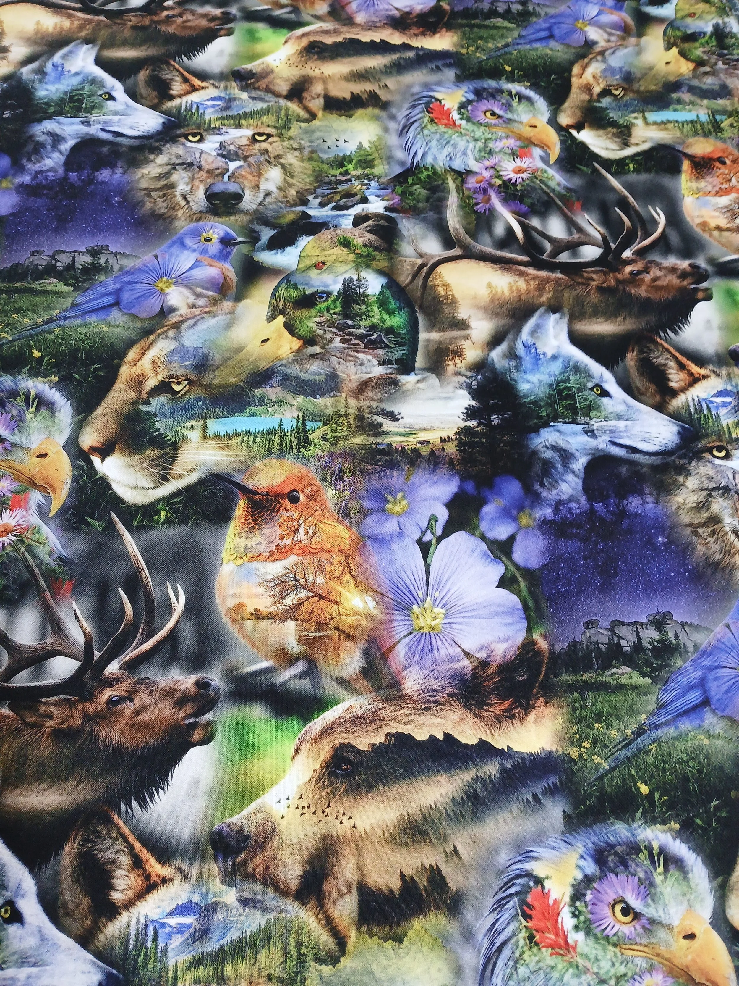Wildlife