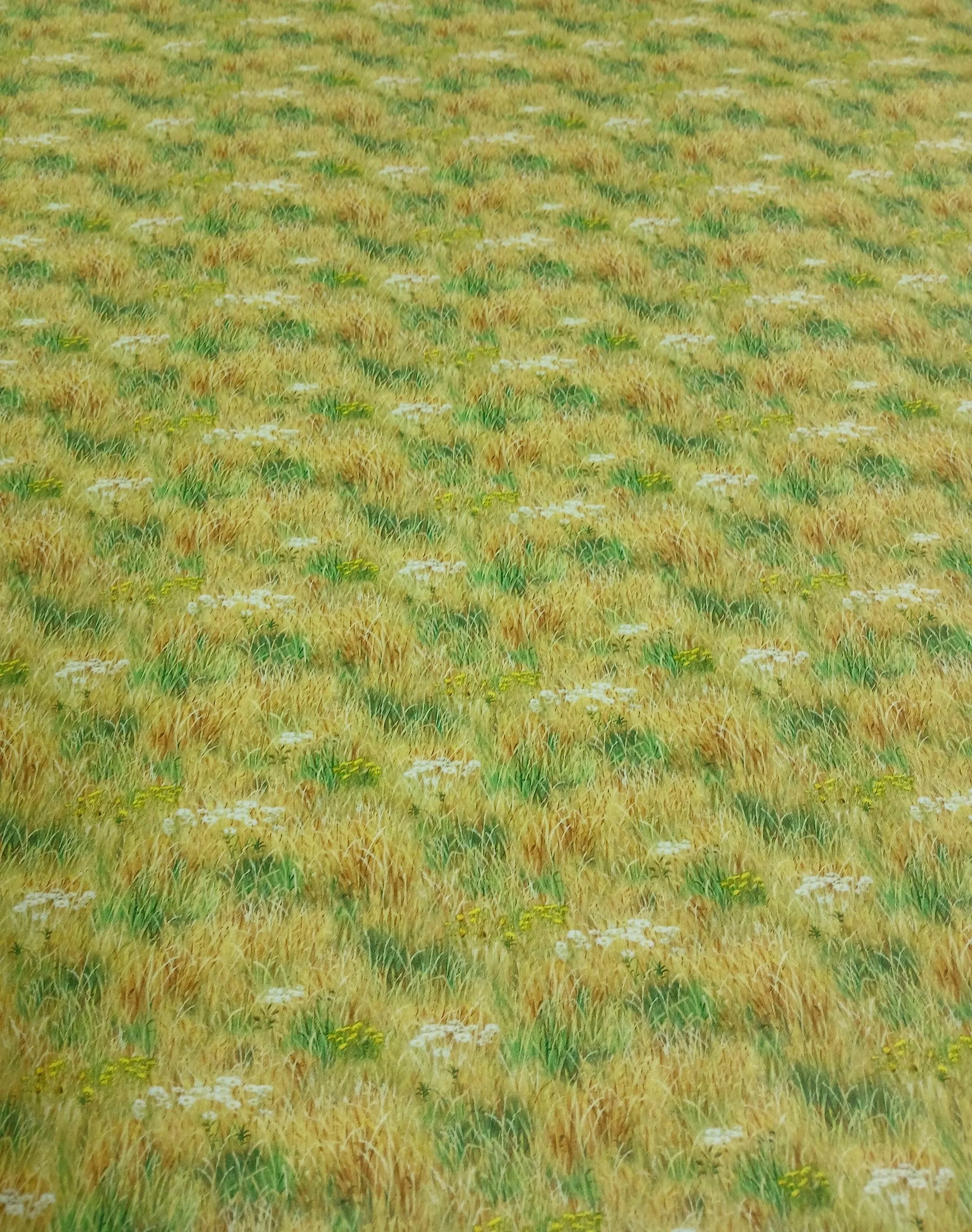 20261005_152811.jpg
