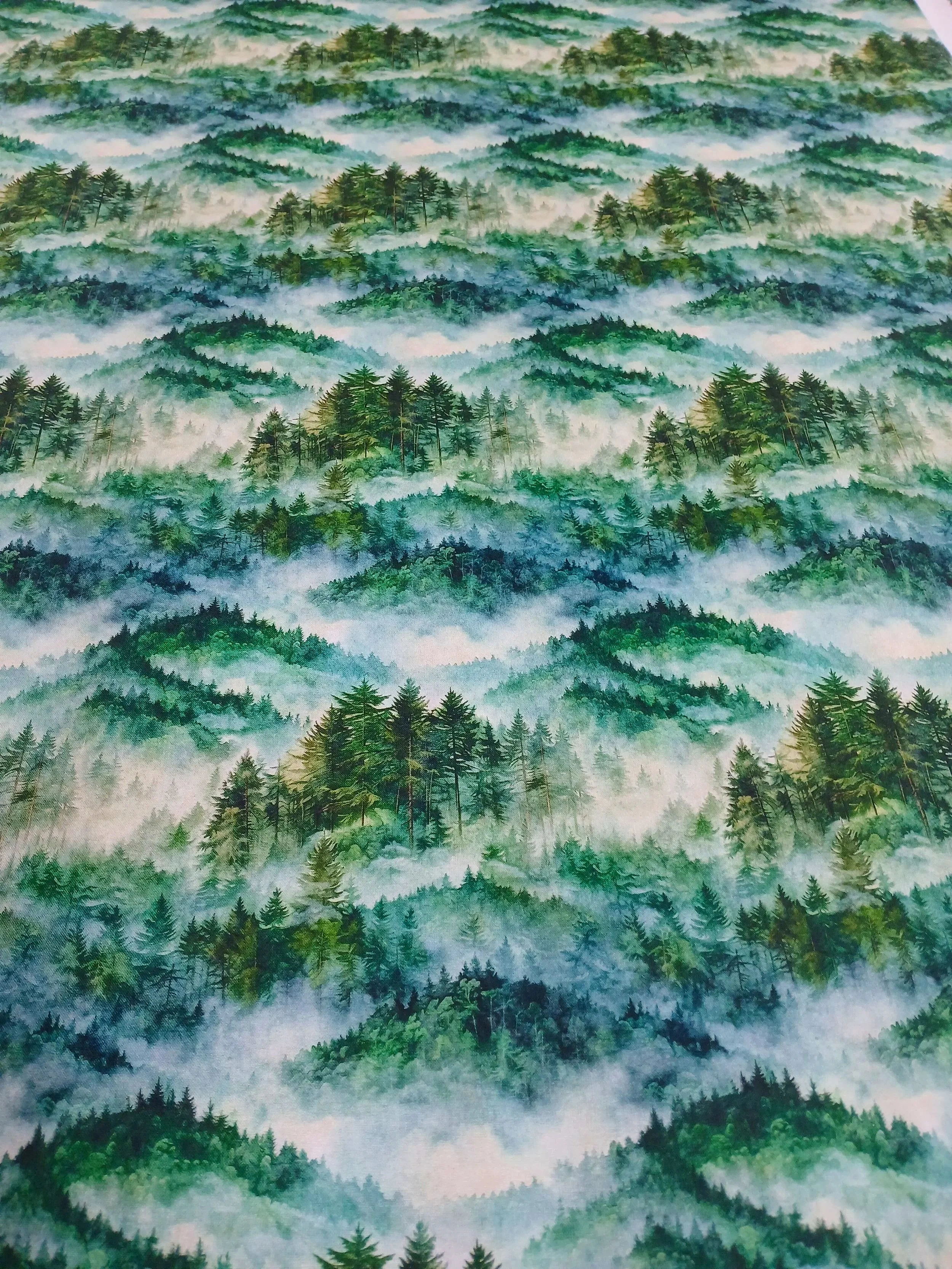20261005_153702.jpg