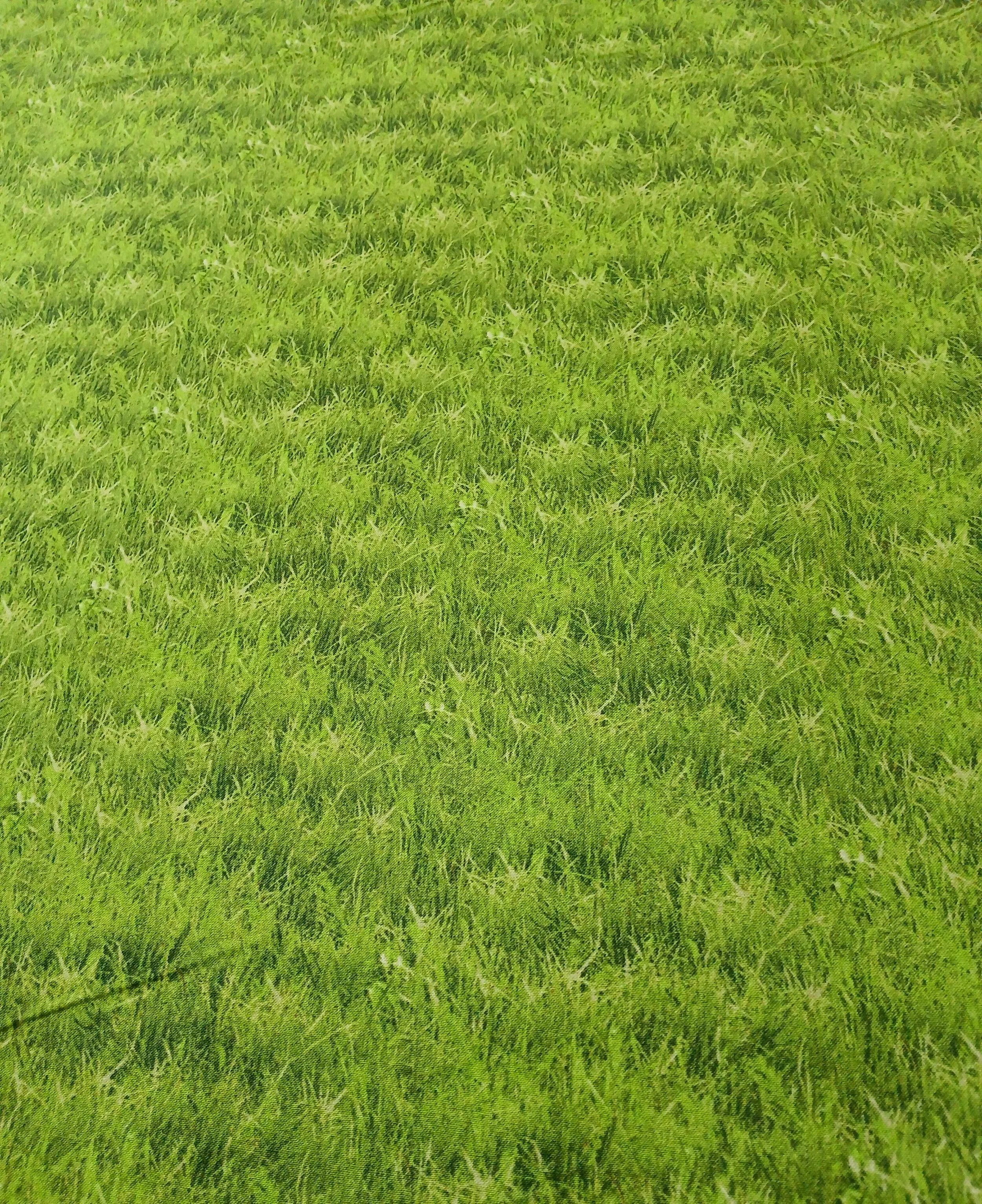 20261005_152605.jpg