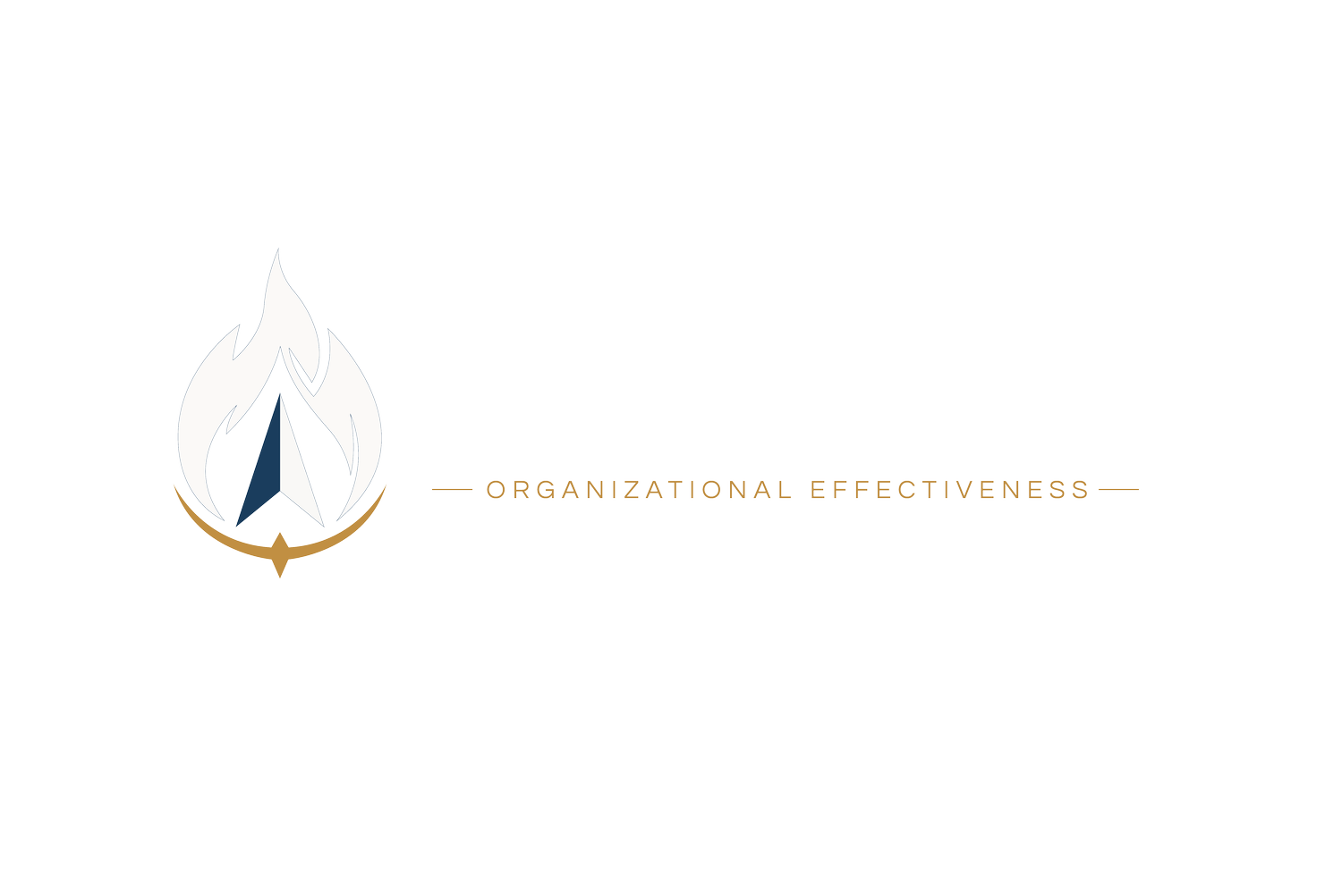 Endeavor Organizational Effectiveness