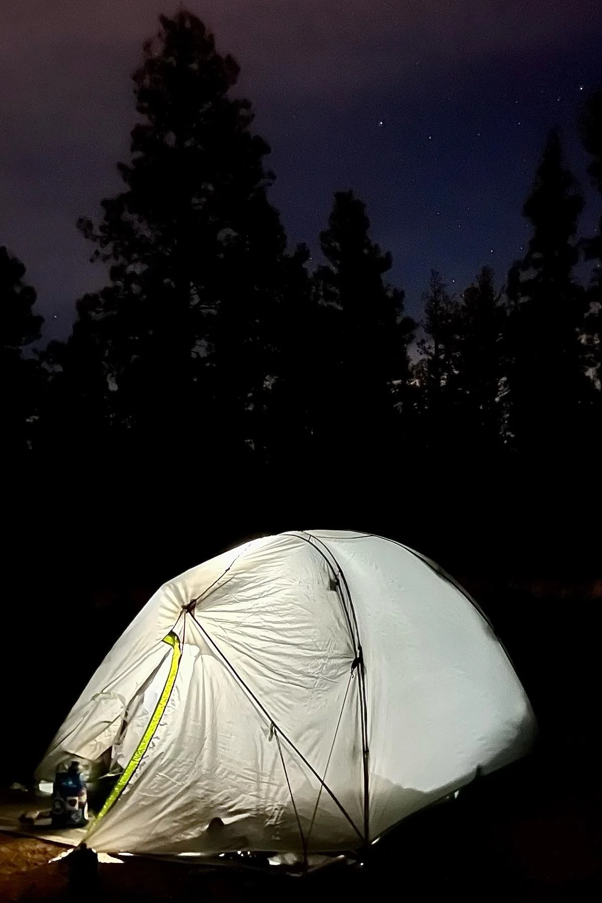 A tent illuminated from within at night, set in a forest with tall trees and a starry sky.