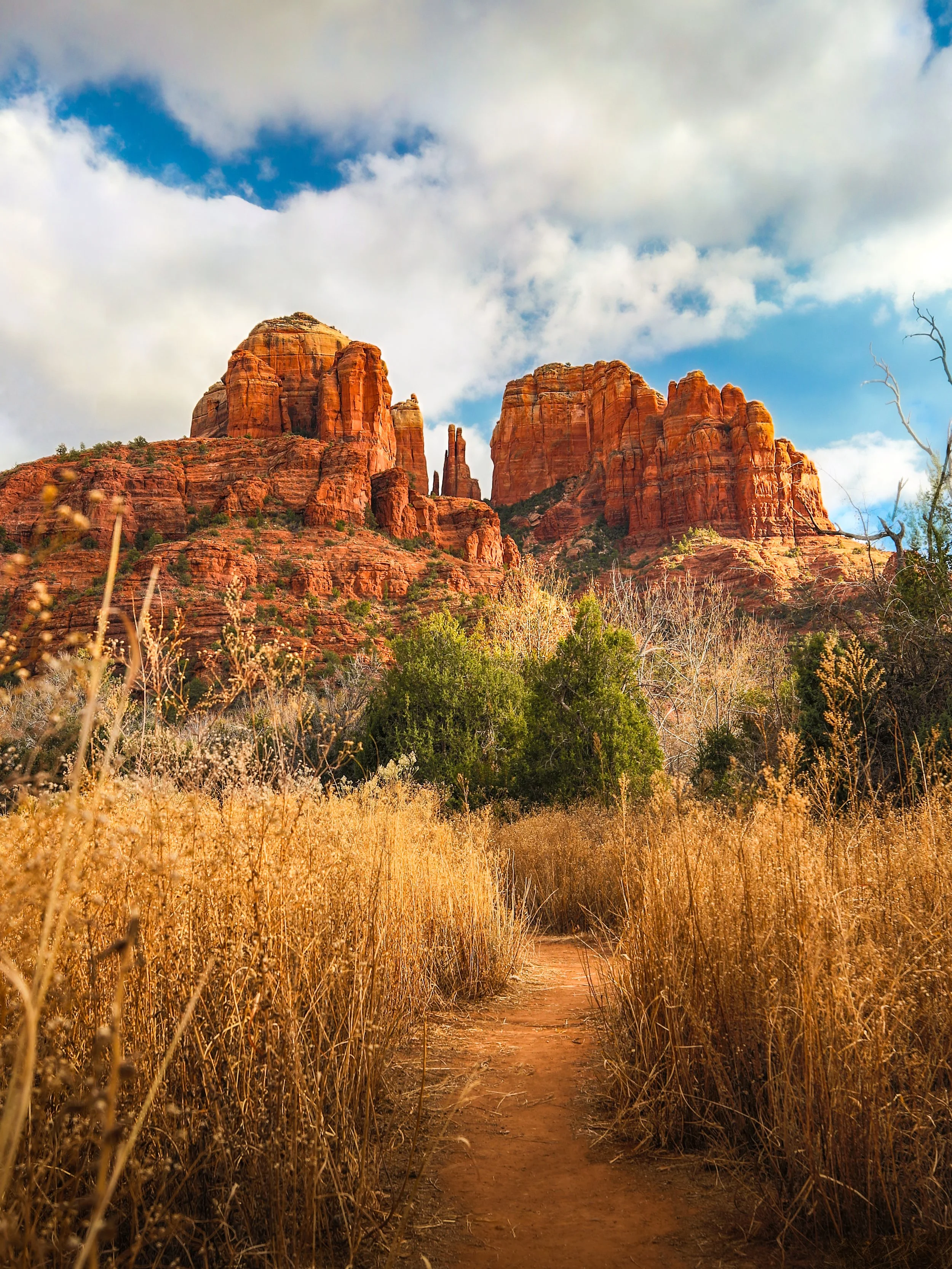 A trail winding through a grassy field leading towards cathedral rock in sedona, arizona.