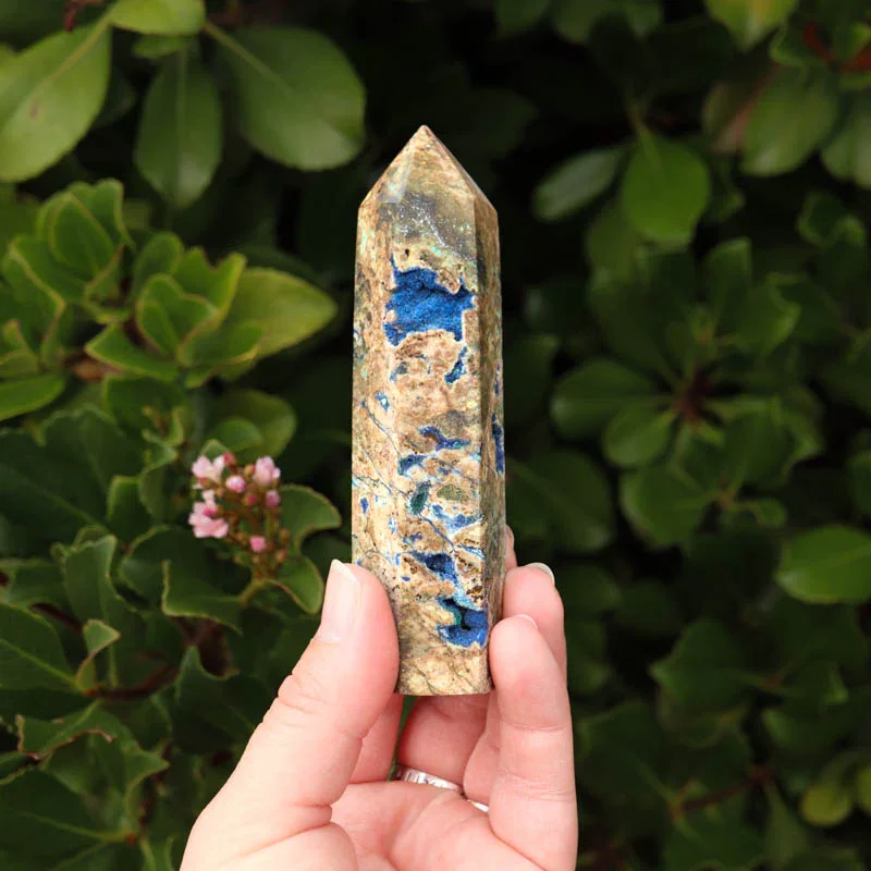 Hand holding a polished mineral crystal with blue and beige coloration, surrounded by green foliage.