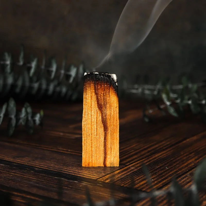 Burning wooden block with smoke rising, on a dark wooden surface surrounded by green foliage.