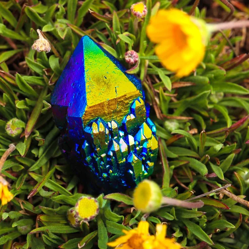 rainbowaurapoinst-2.JPG